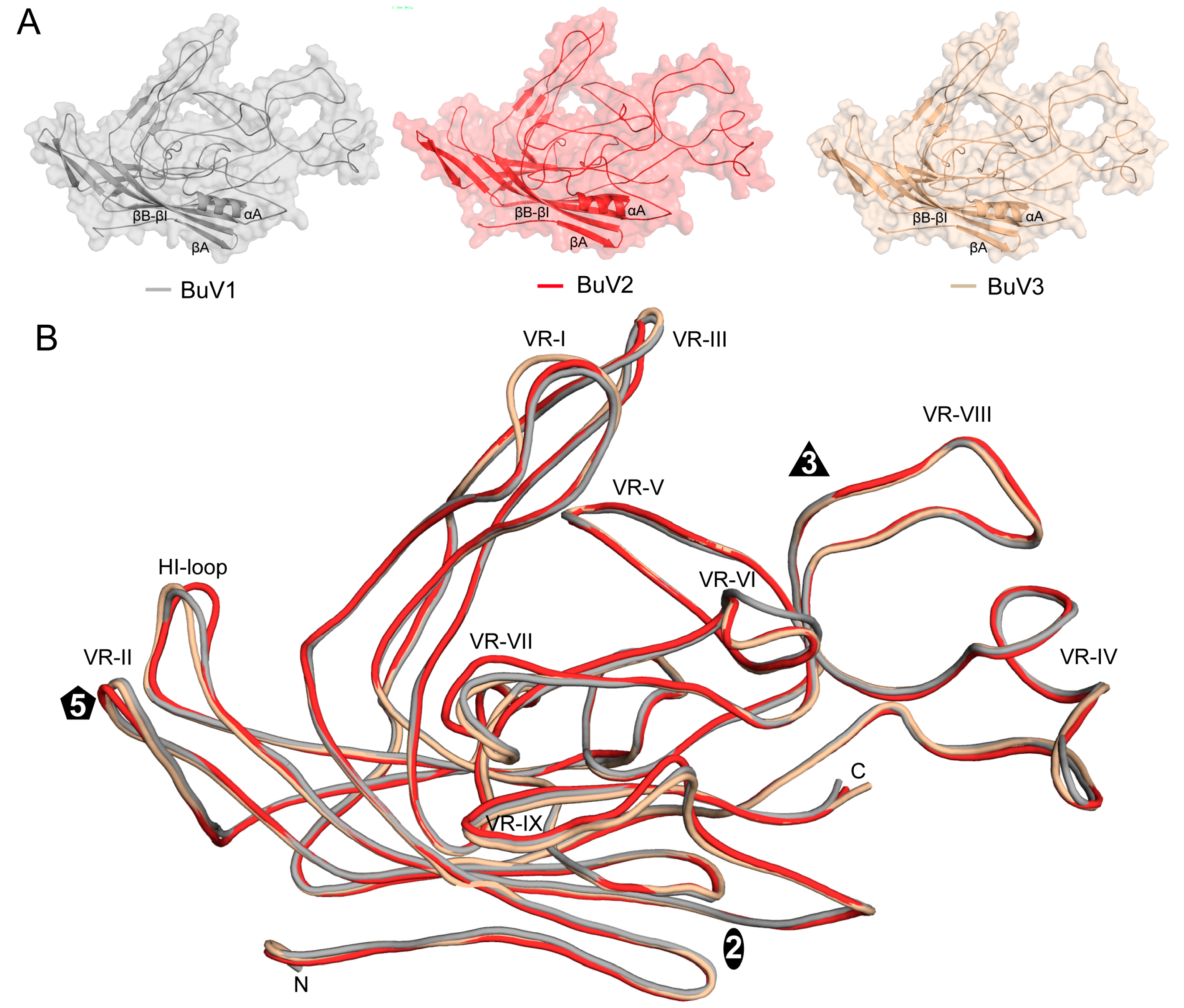 Viruses 10 00022 g003 Viruses 10 00022 g003