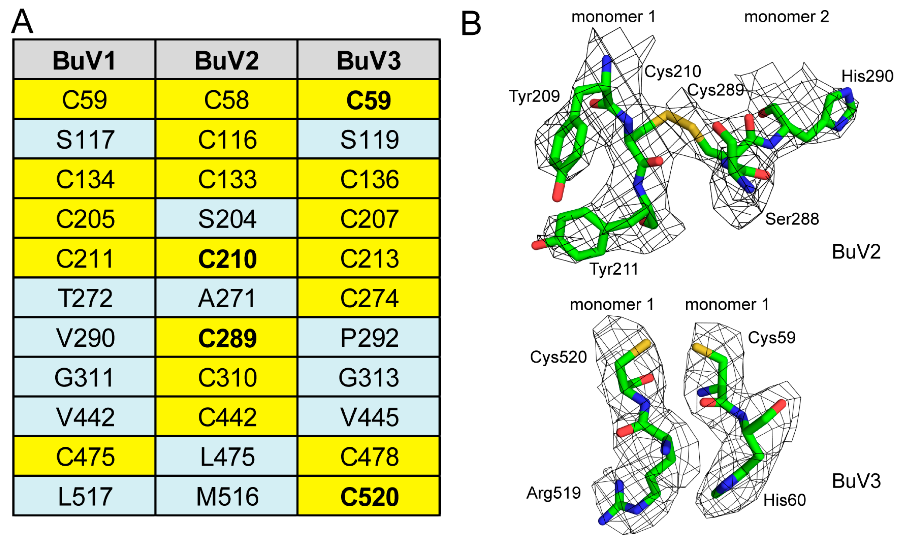 Viruses 10 00022 g005 Viruses 10 00022 g005