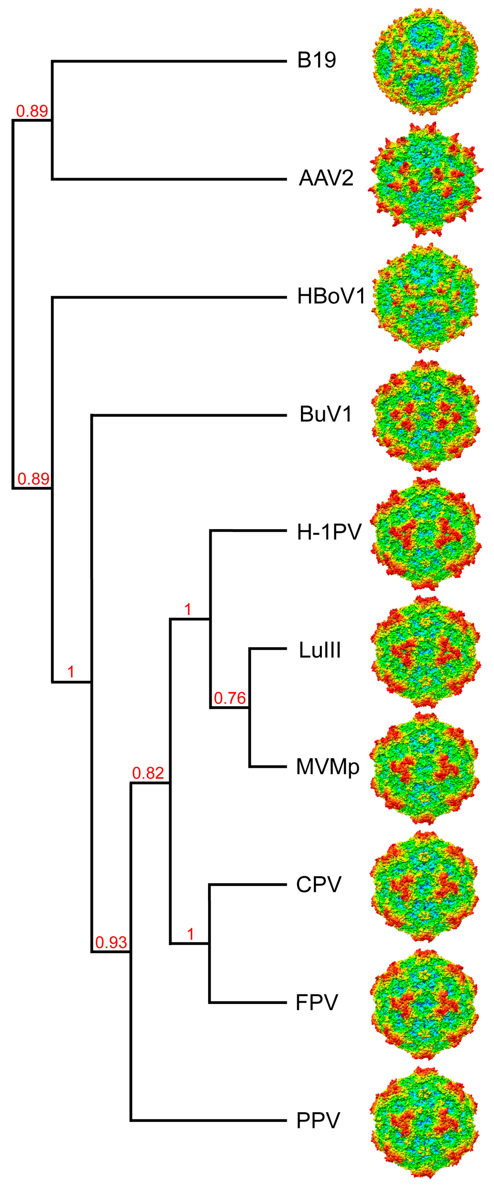 Viruses 10 00022 g008 Viruses 10 00022 g008