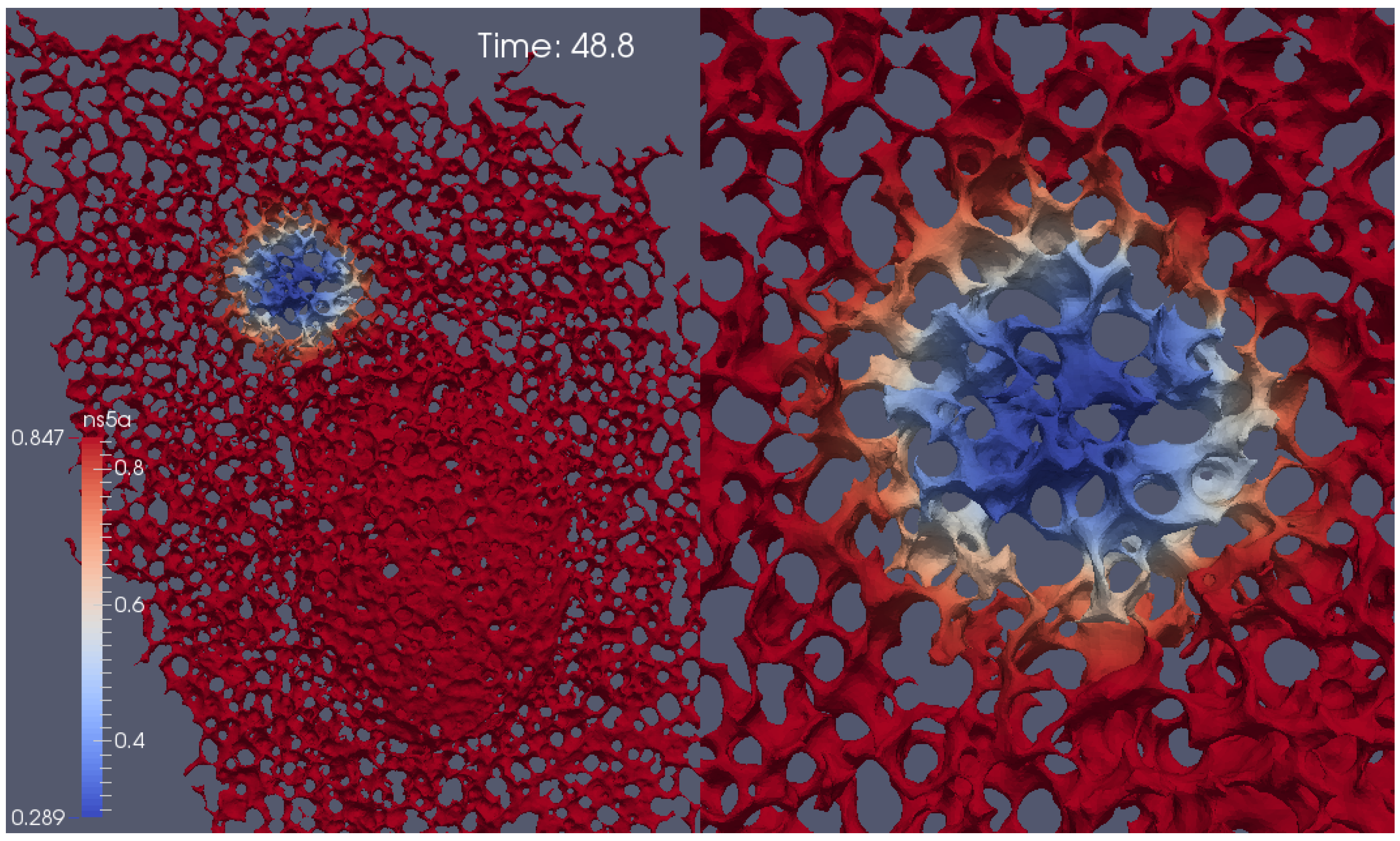 Viruses 10 00028 g004 Viruses 10 00028 g004