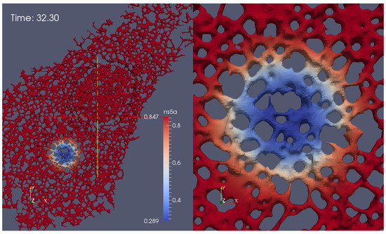 Viruses 10 00028 g0a6