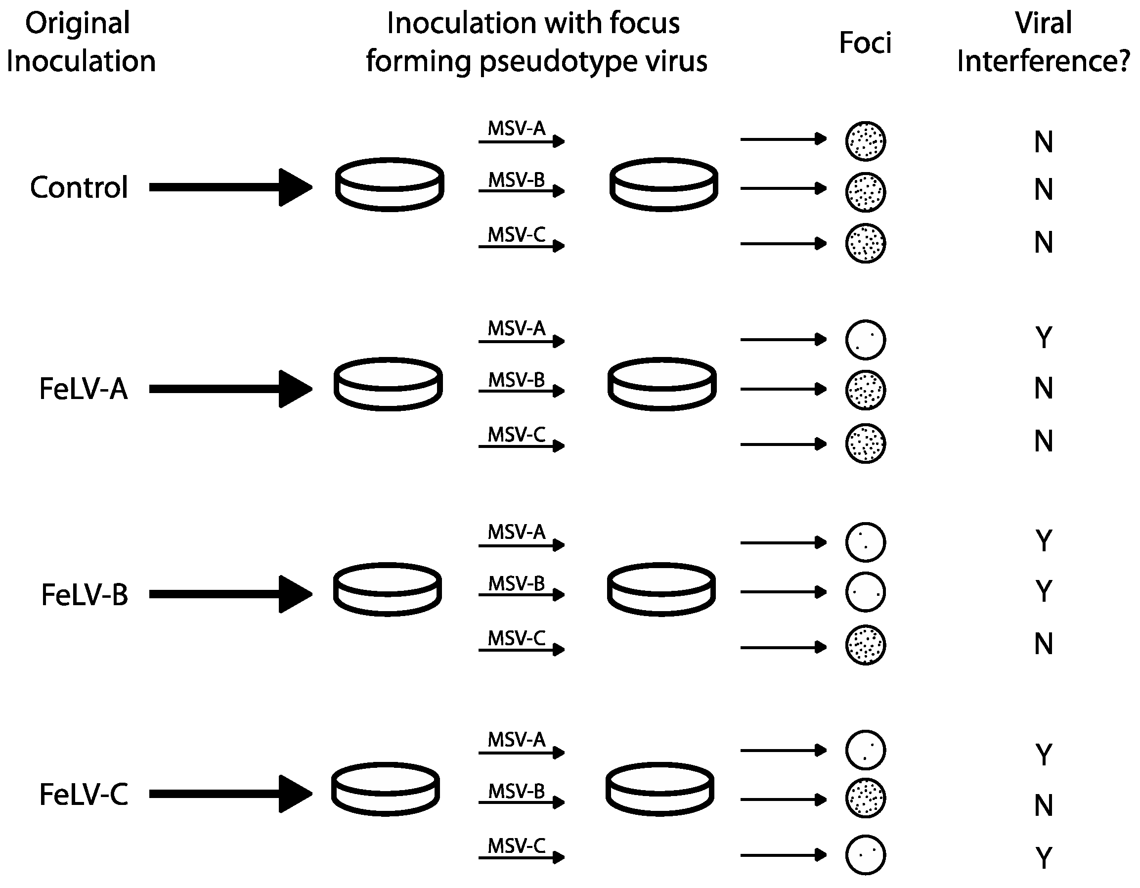 Viruses 10 00029 g002 Viruses 10 00029 g002