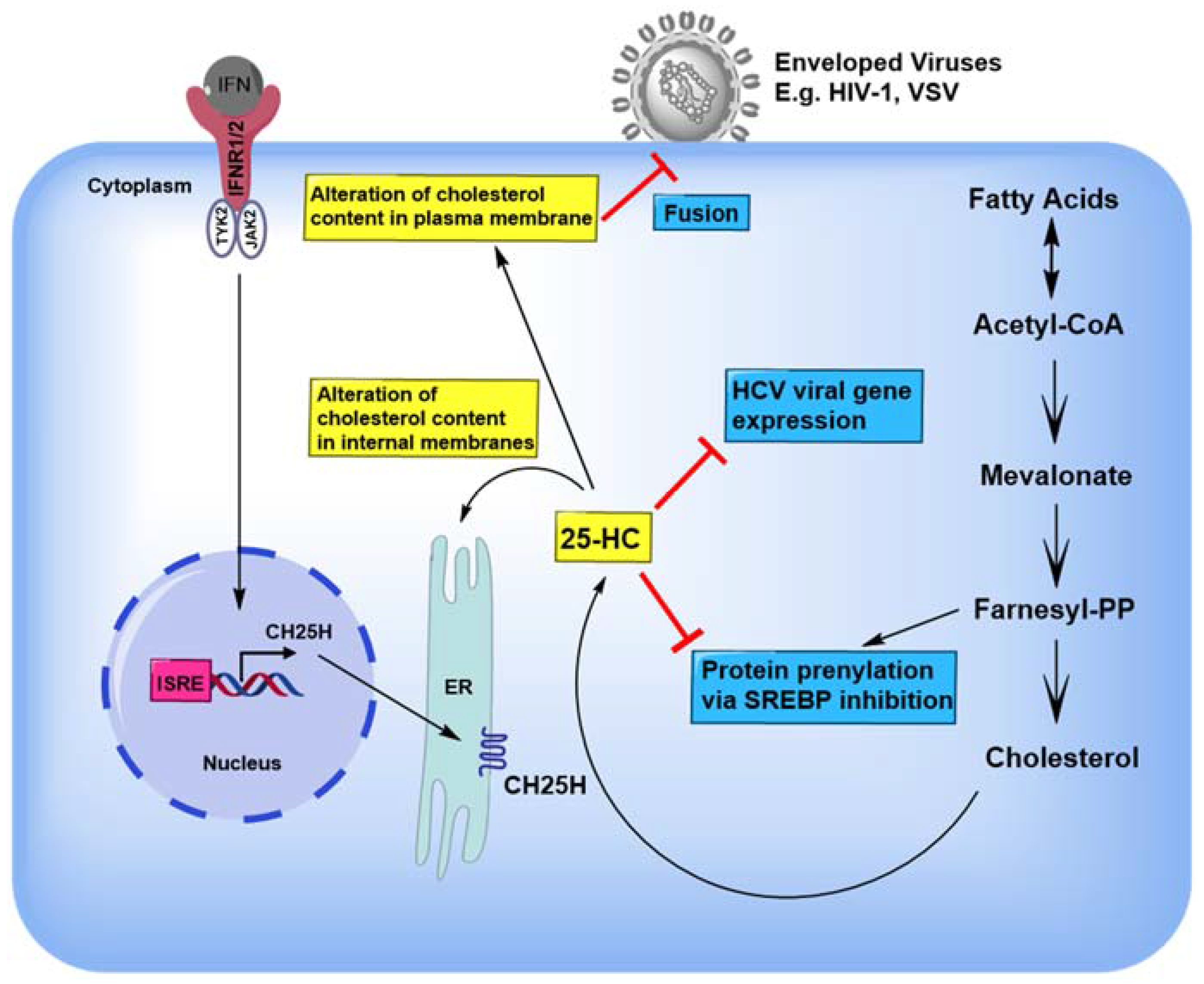 Viruses 10 00036 g002 Viruses 10 00036 g002