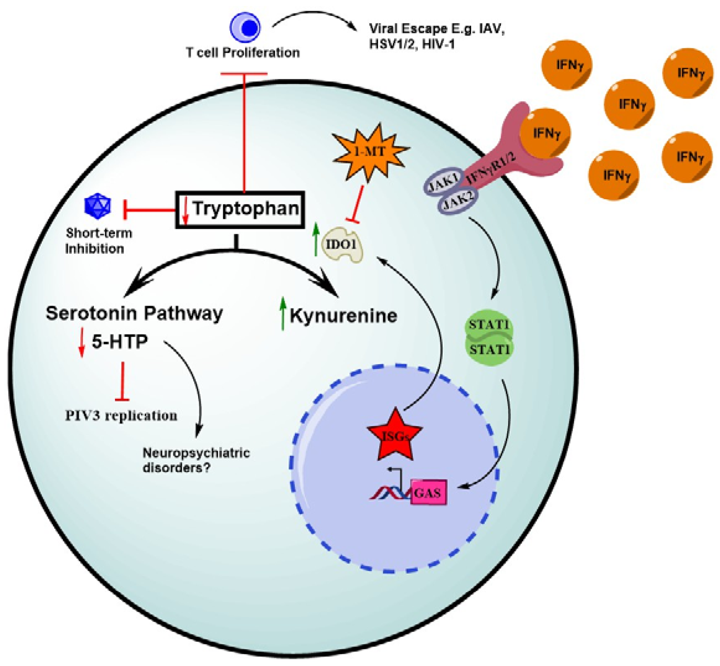 Viruses 10 00036 g004 Viruses 10 00036 g004