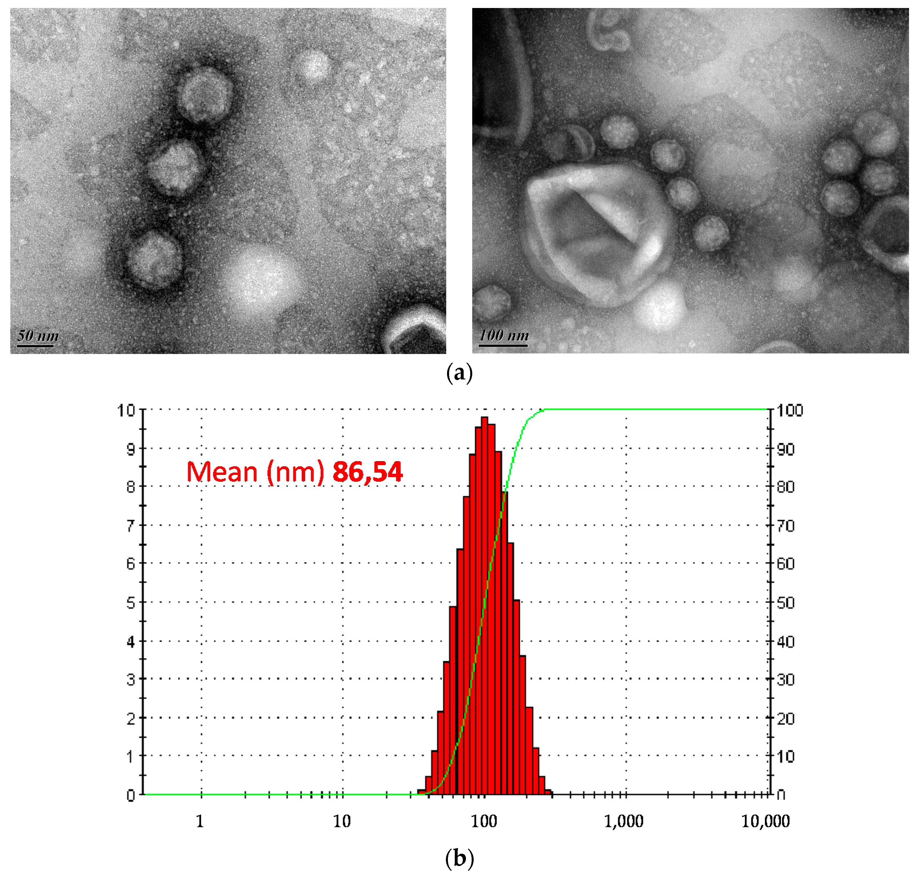 Viruses 10 00039 g002