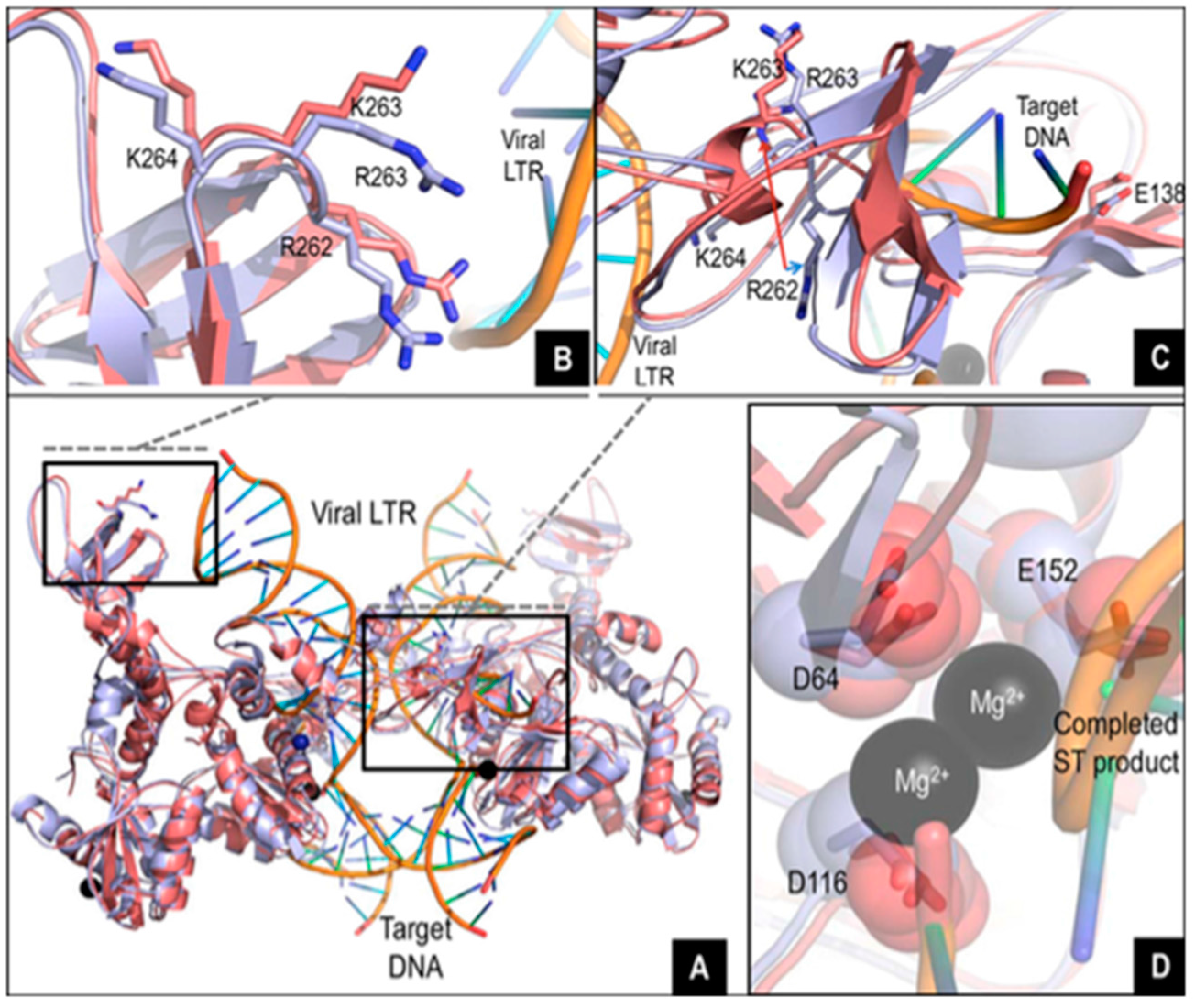 Viruses 10 00041 g001
