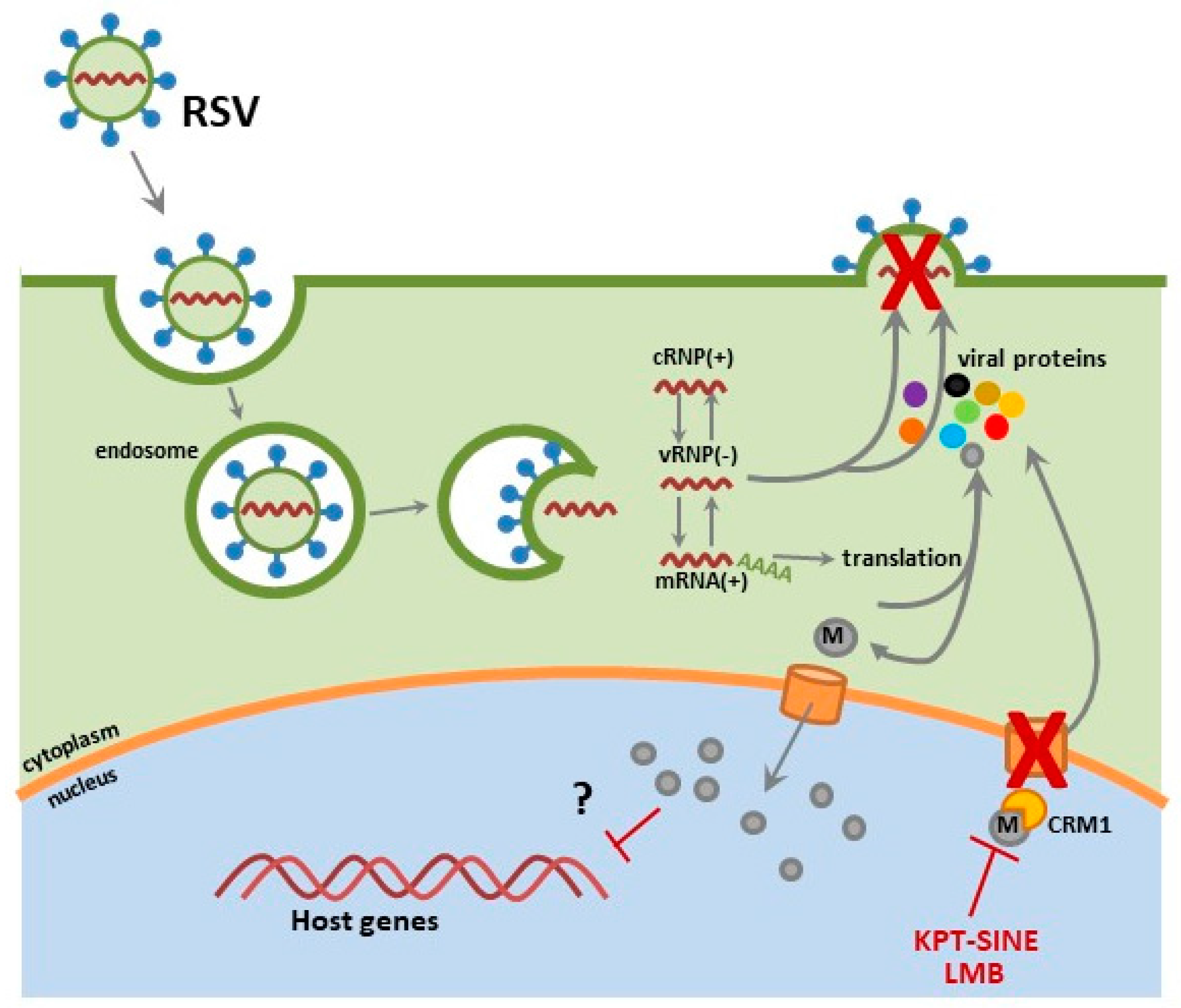 Viruses 10 00048 g003 Viruses 10 00048 g003
