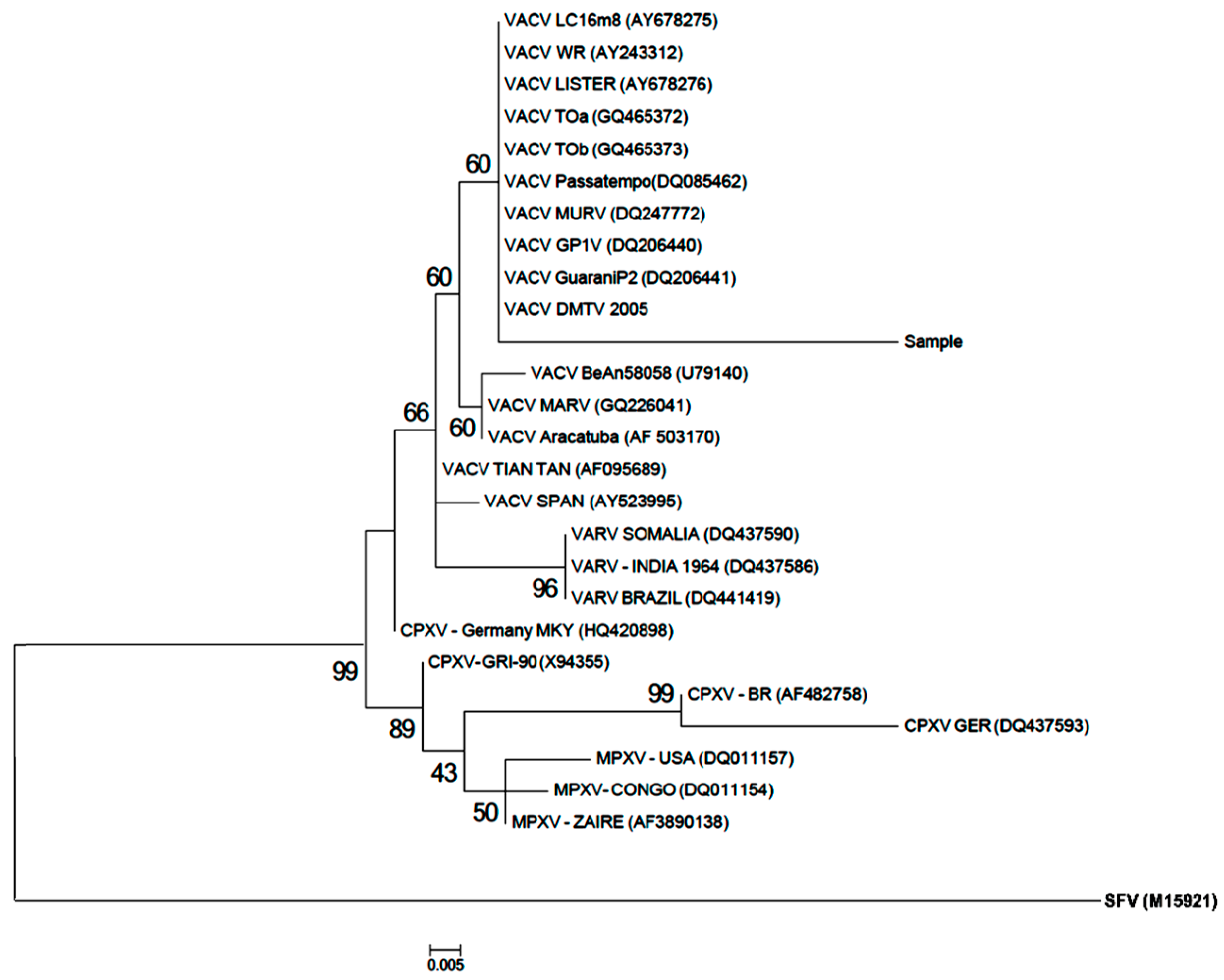 Viruses 10 00051 g002