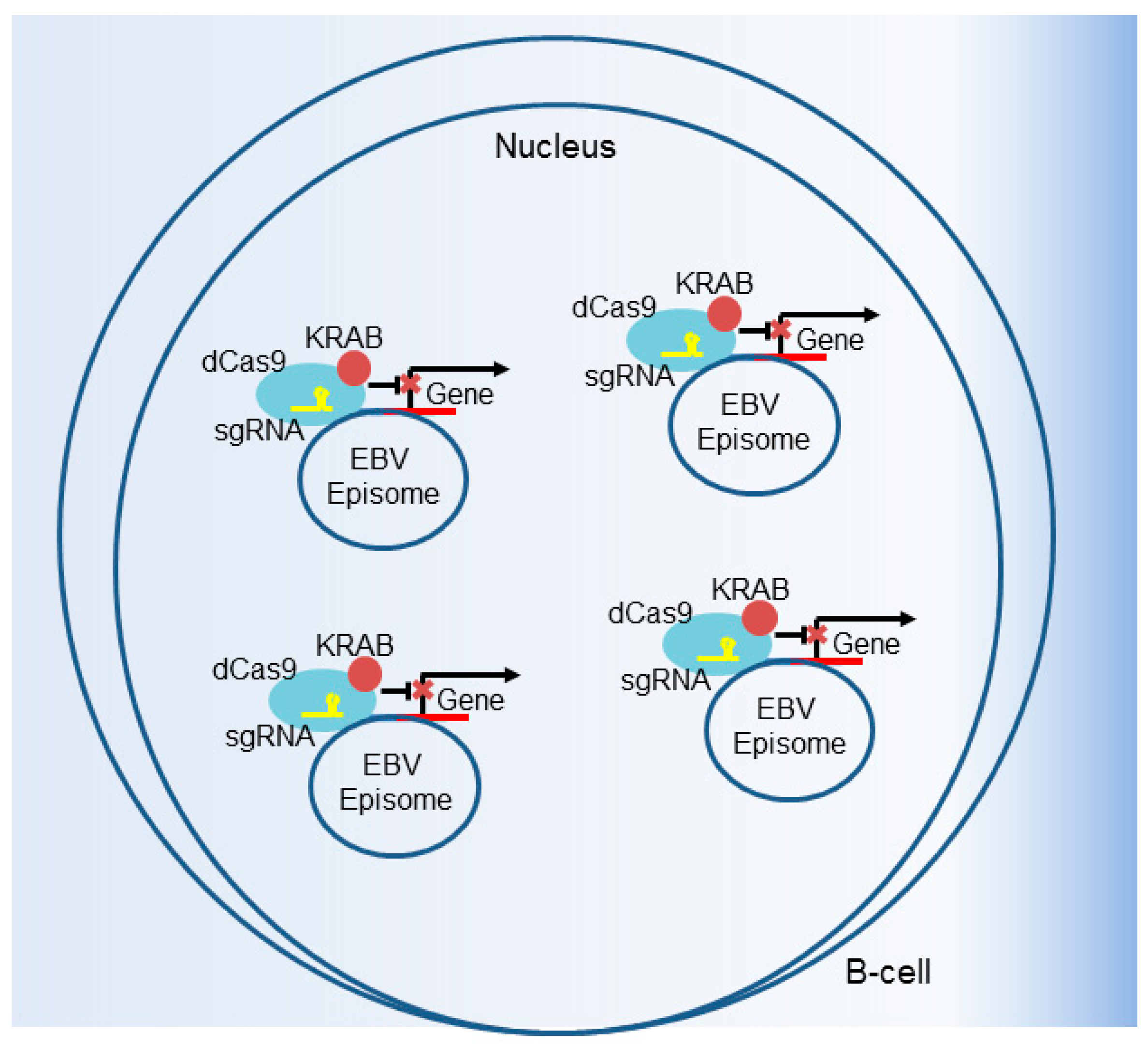 Viruses 10 00055 g006
