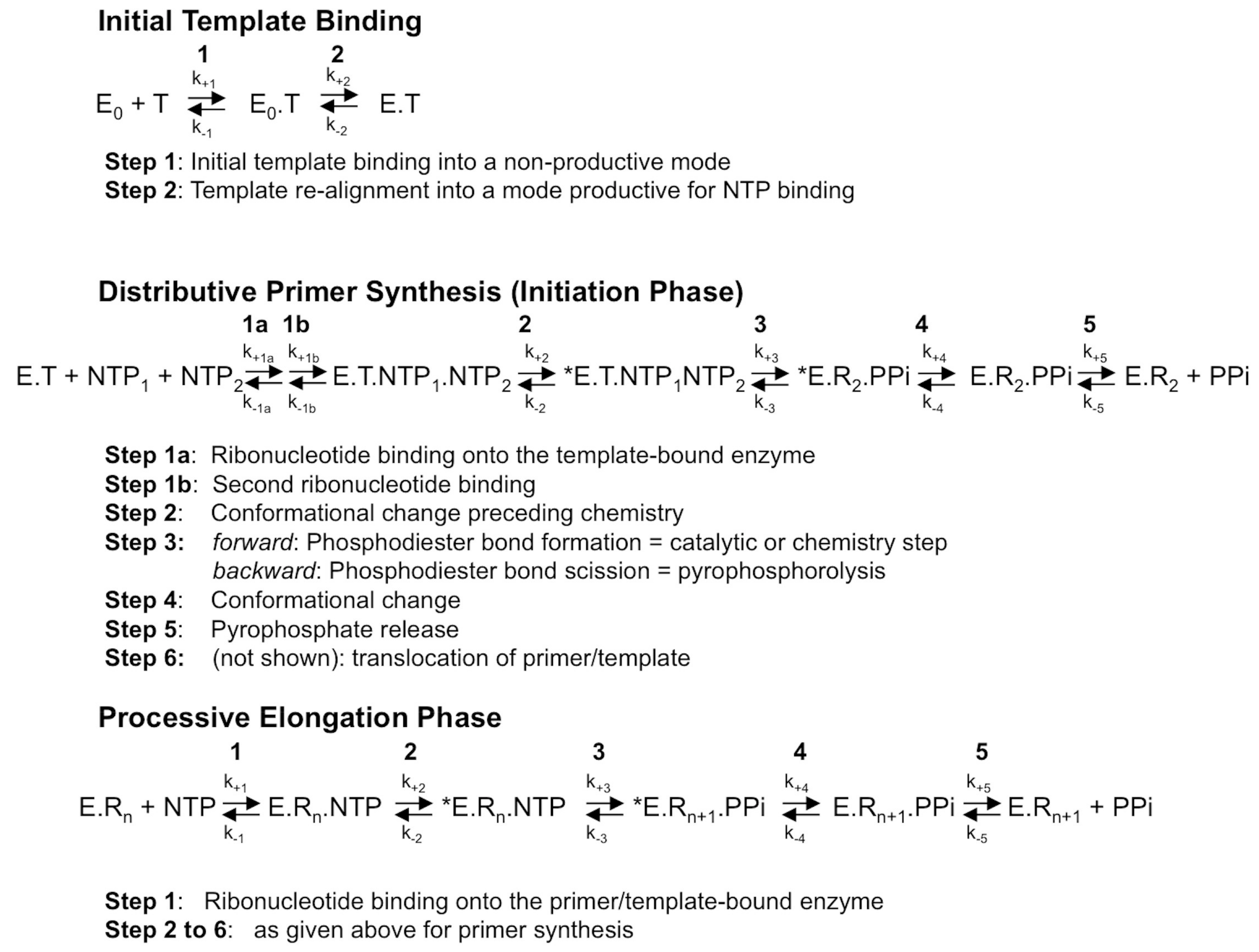 Viruses 10 00059 g001
