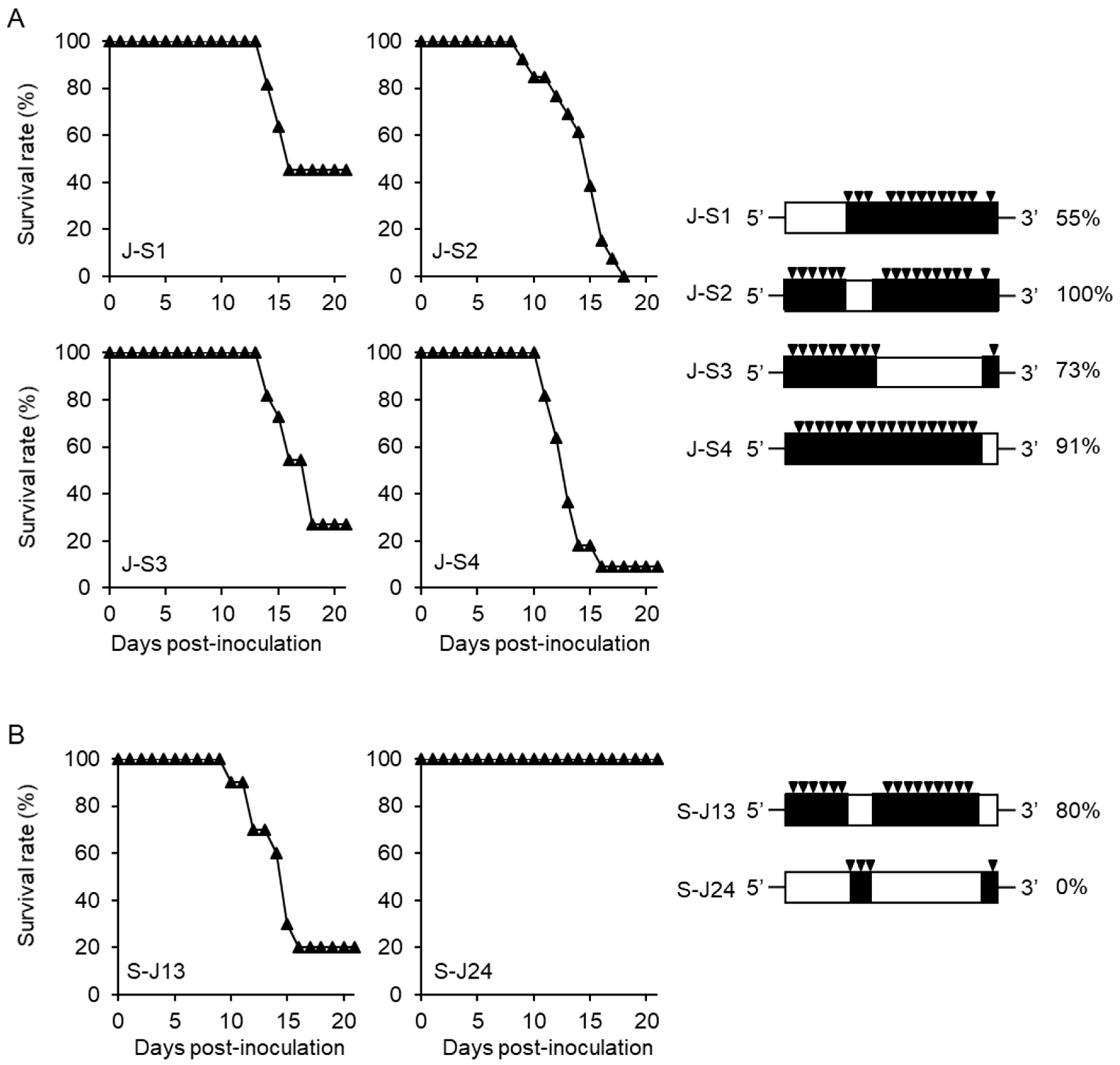 Viruses 10 00062 g002