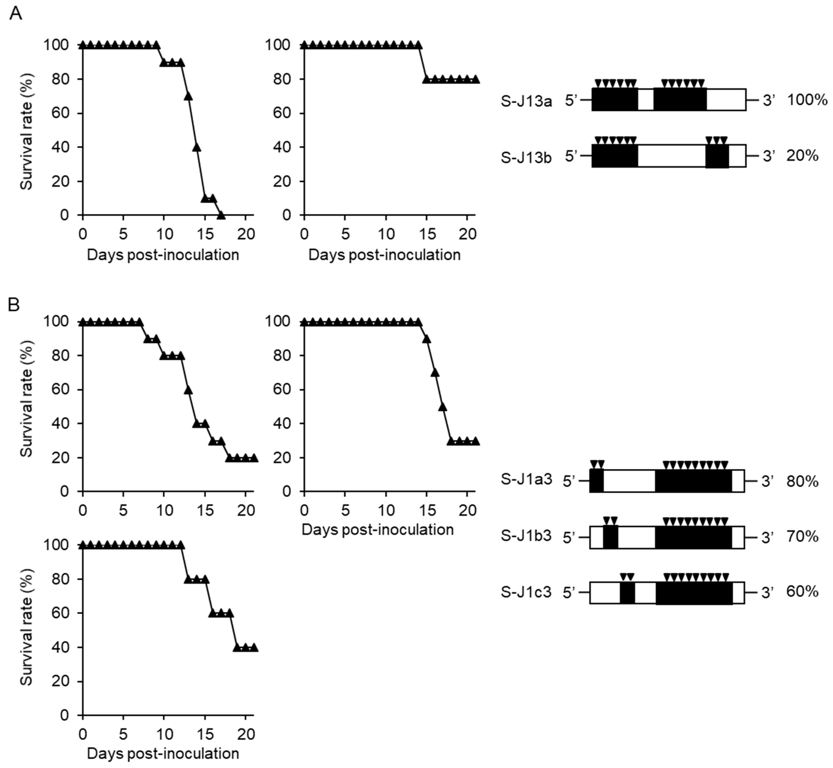 Viruses 10 00062 g003