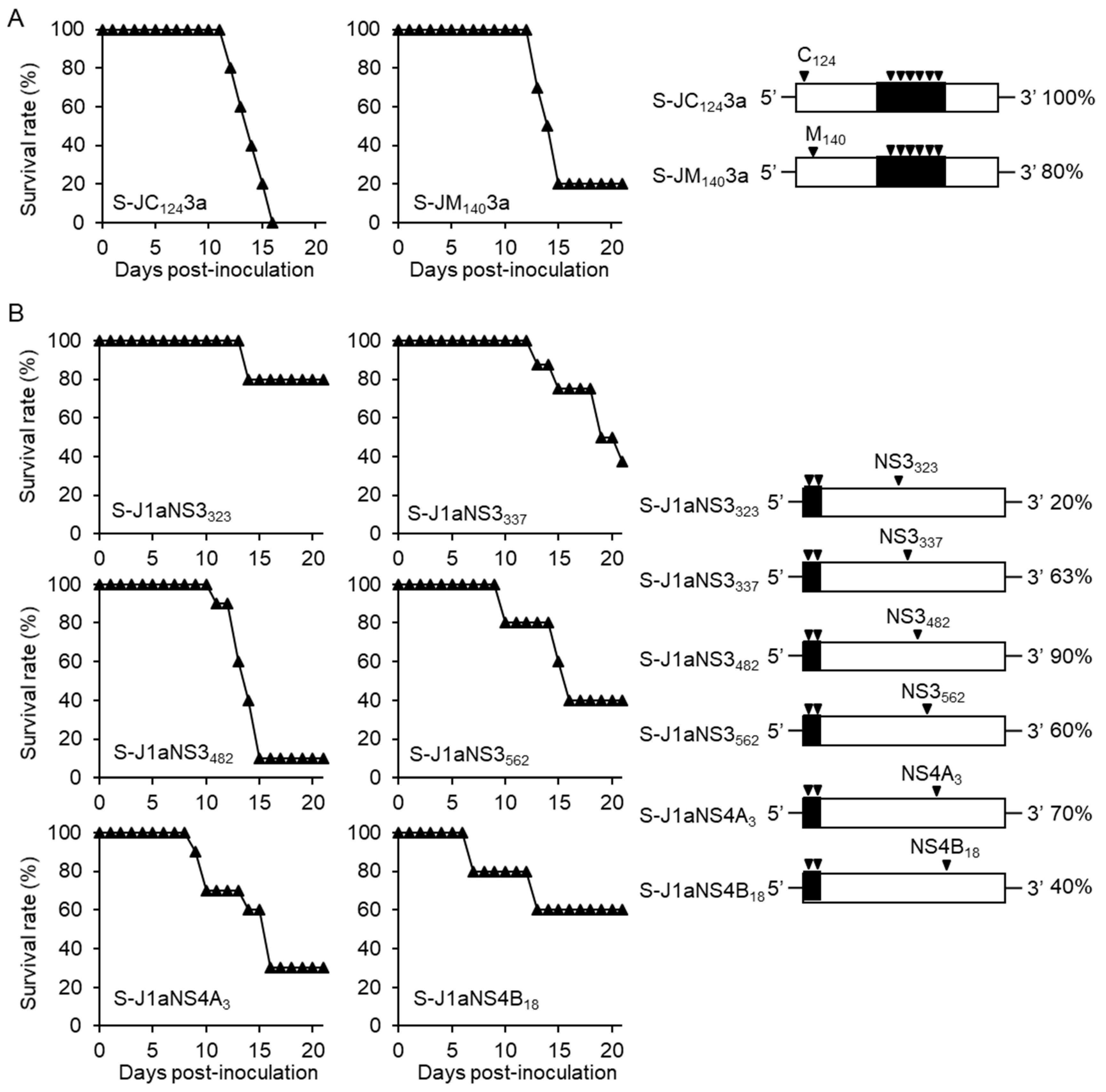 Viruses 10 00062 g004a