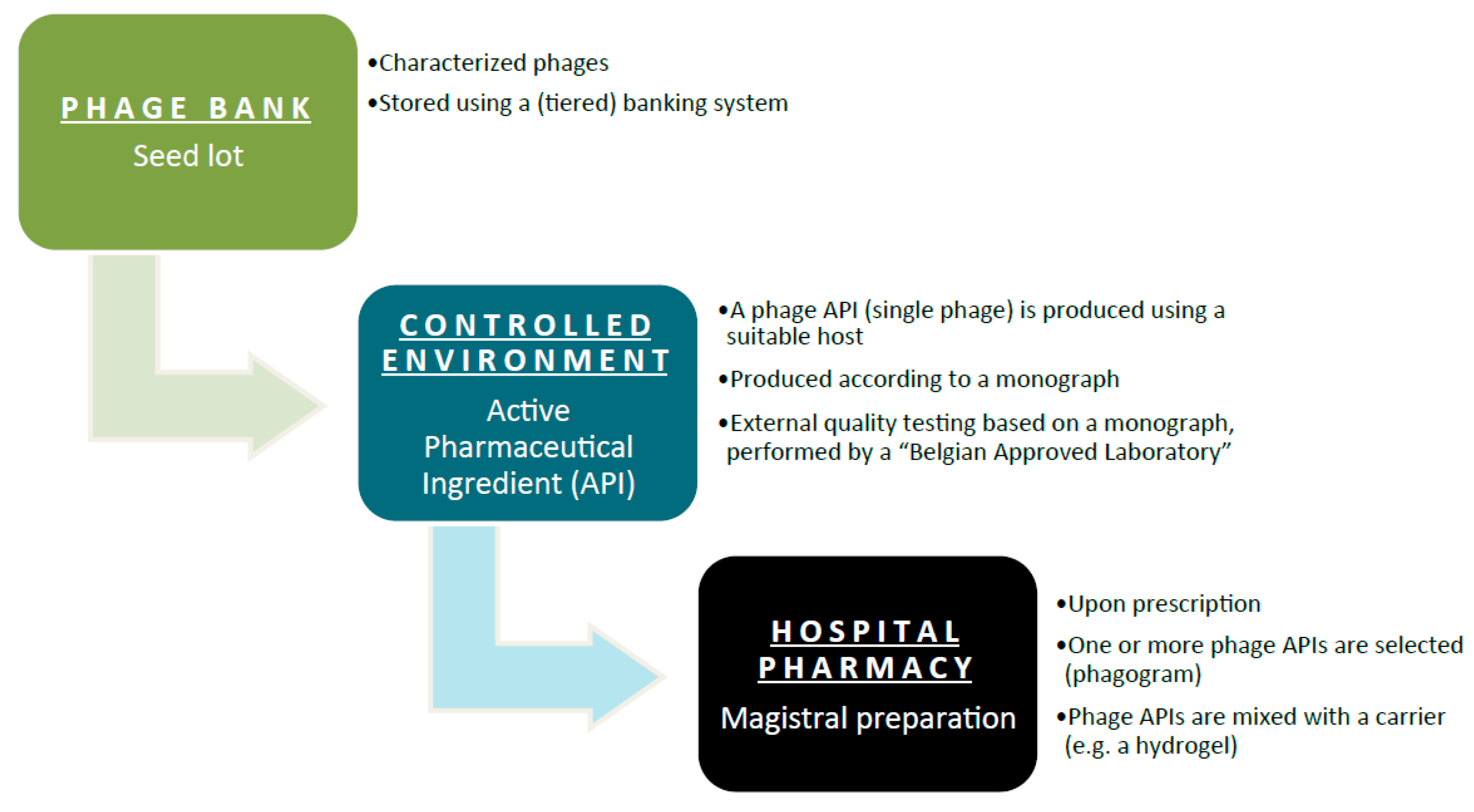 Viruses 10 00064 g001