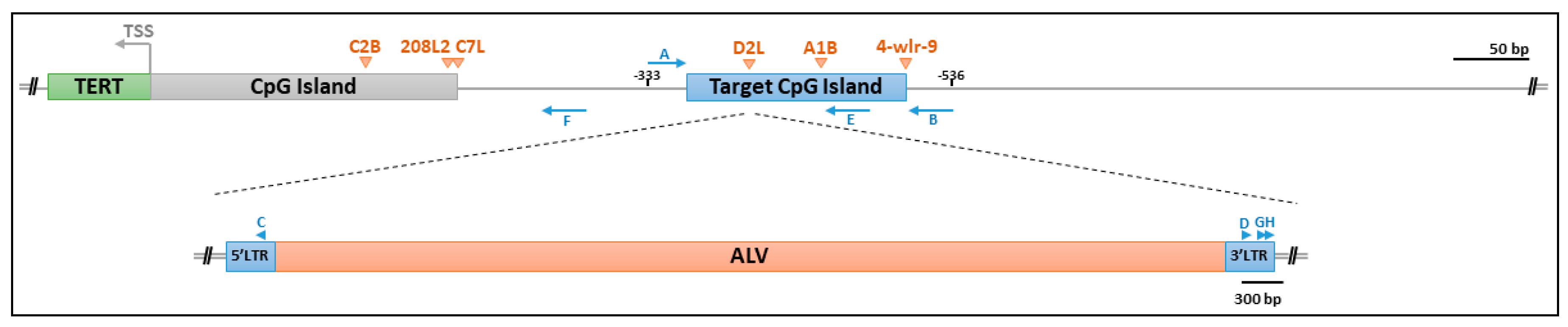 Viruses 10 00074 g001