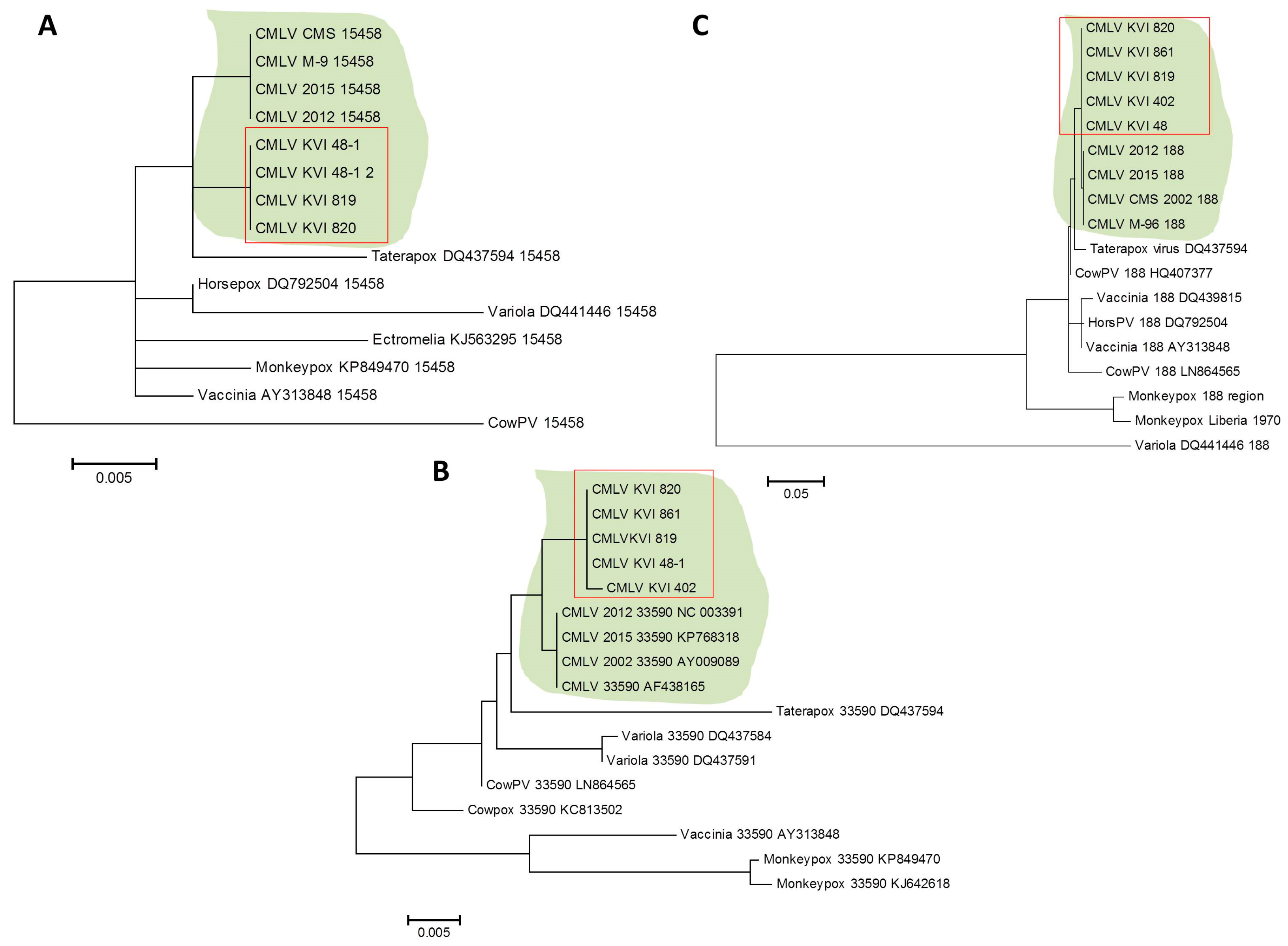 Viruses 10 00078 g007