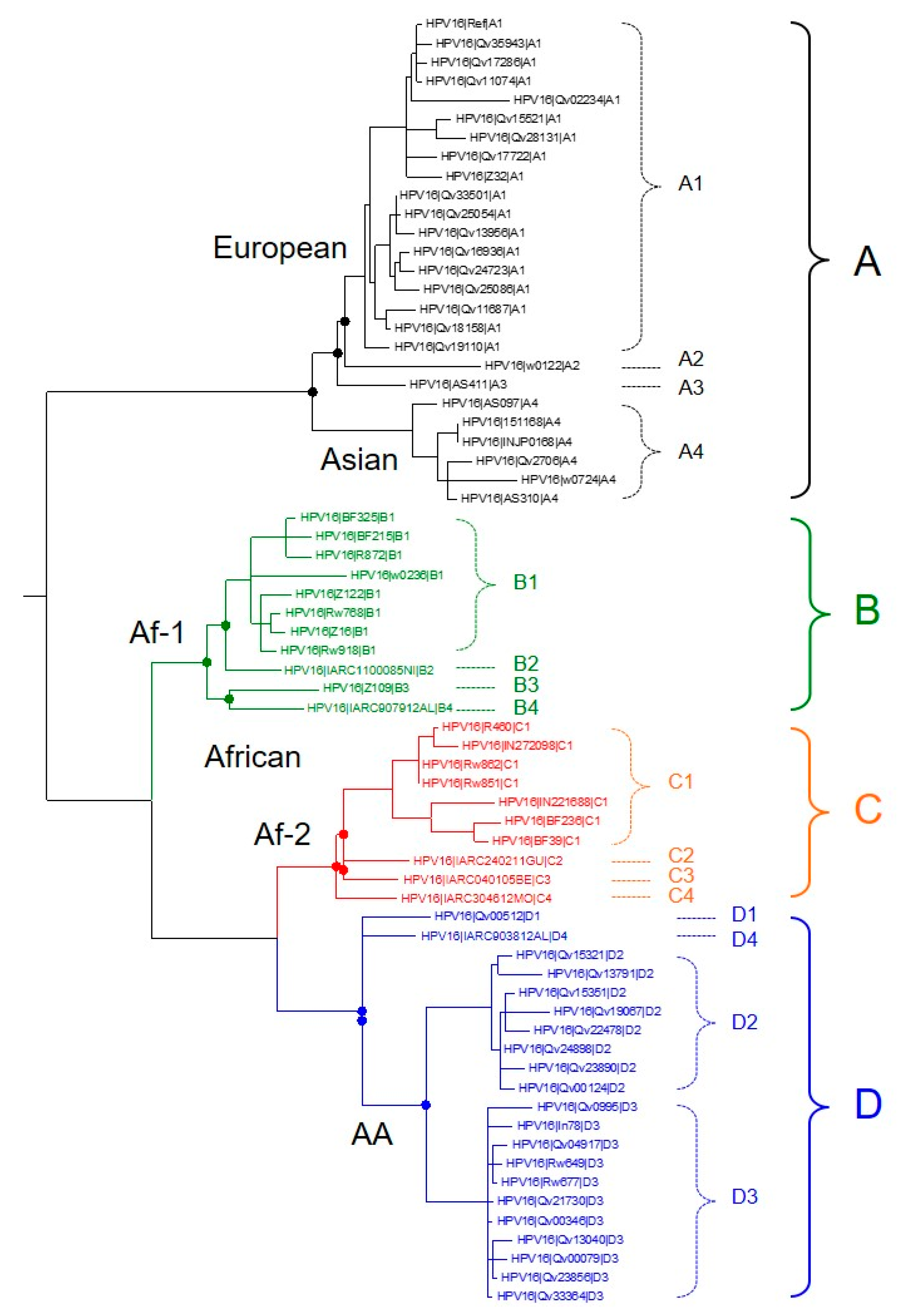 Viruses 10 00080 g001