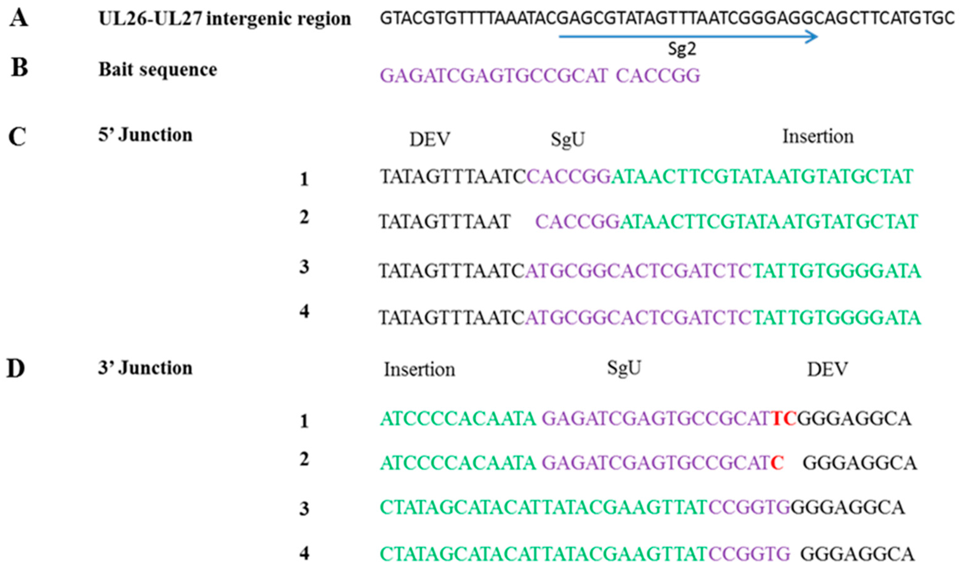 Viruses 10 00081 g003