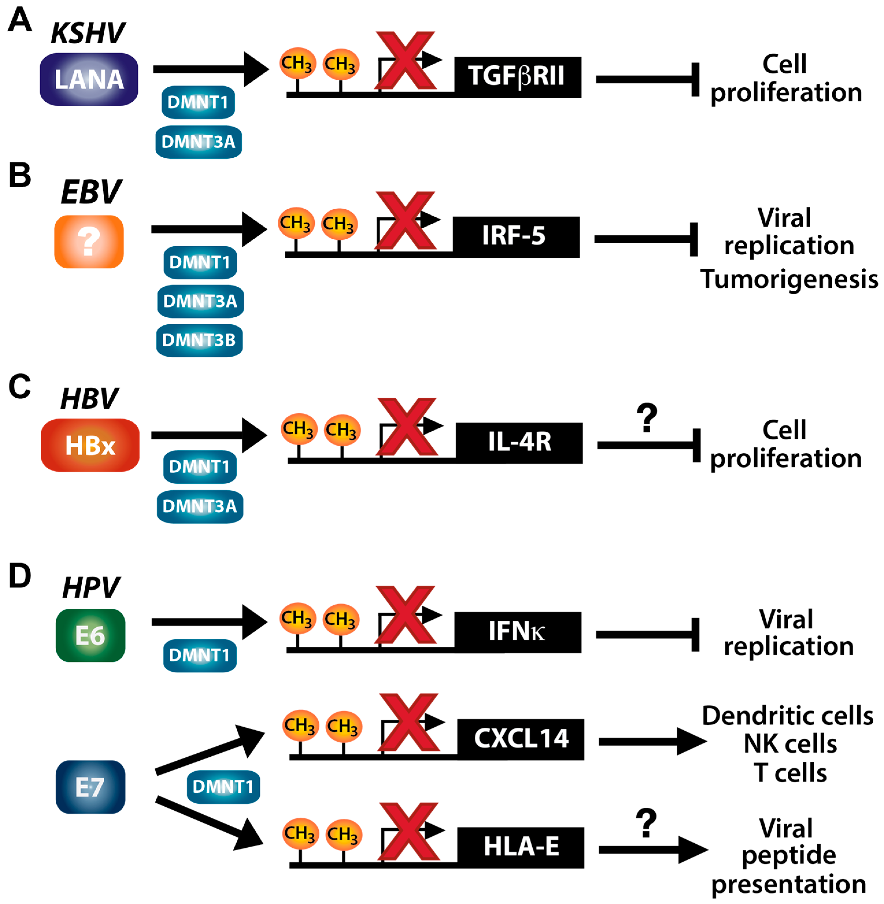 Viruses 10 00082 g002