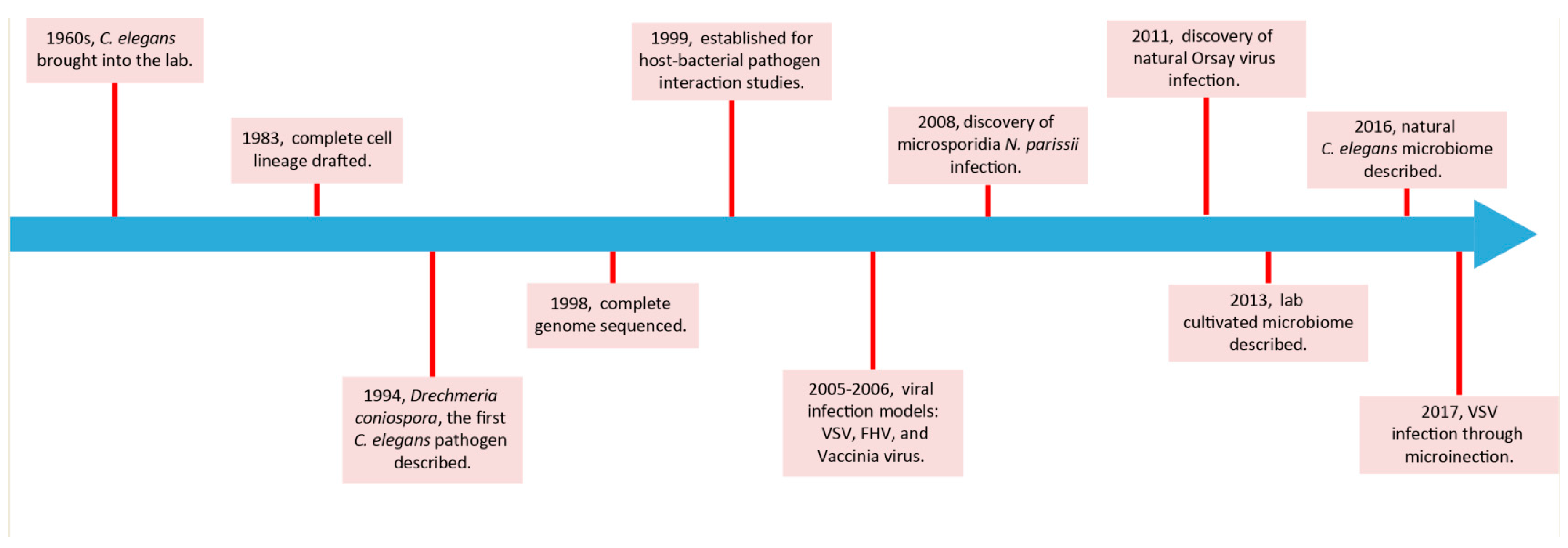 Viruses 10 00085 g001