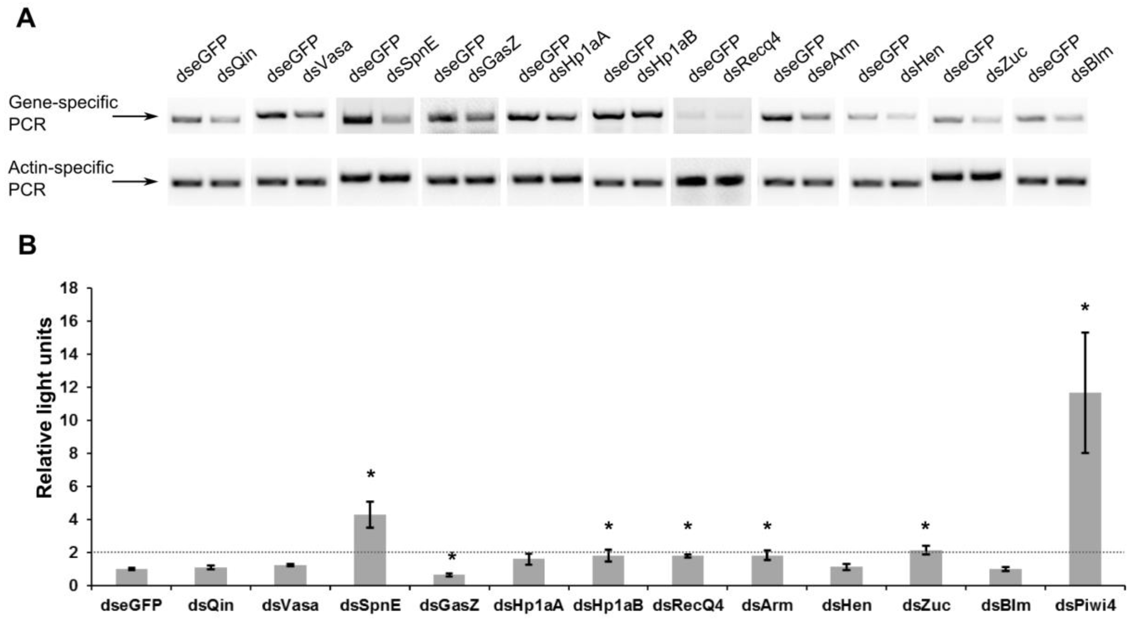 Viruses 10 00088 g001