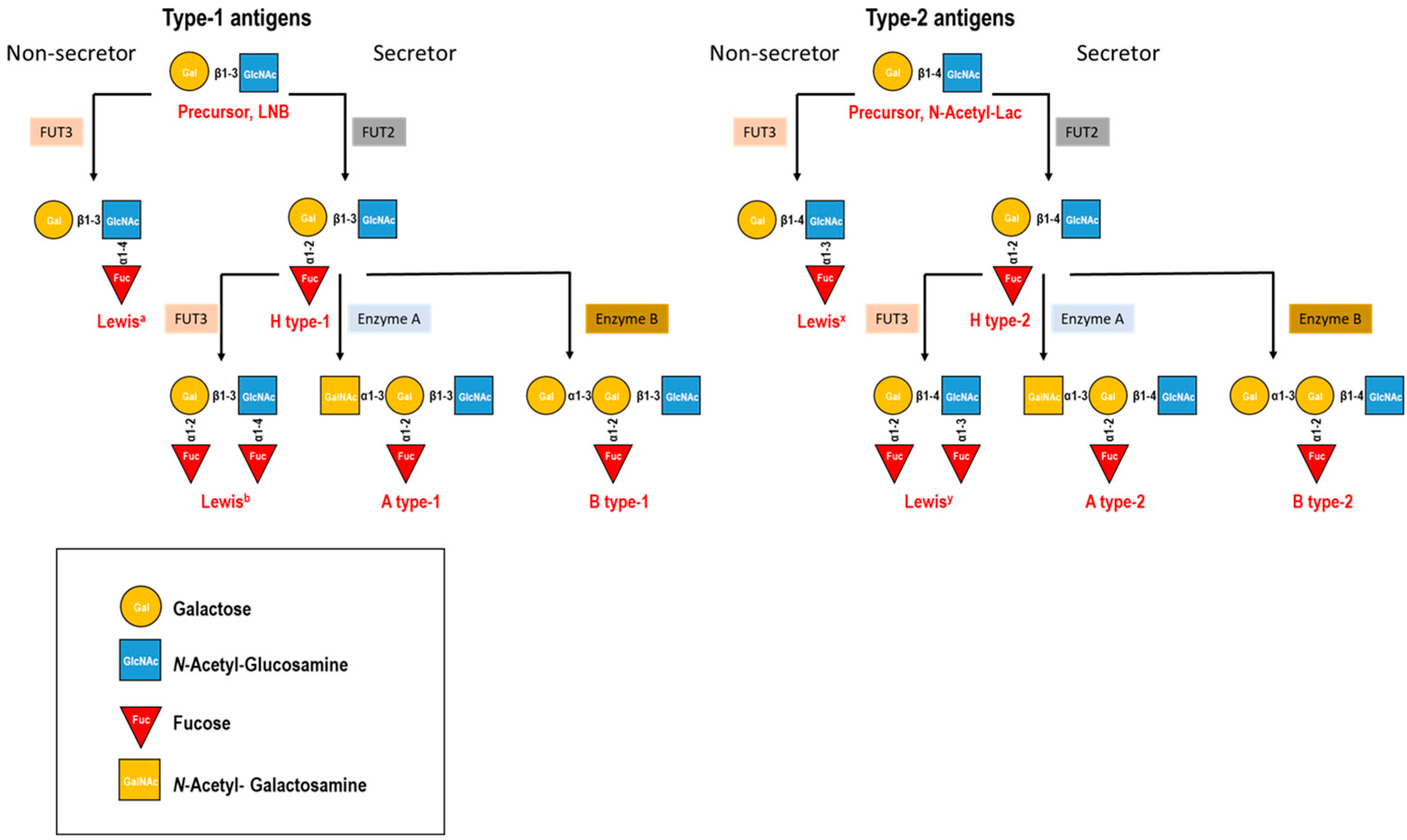 Viruses 10 00096 g001