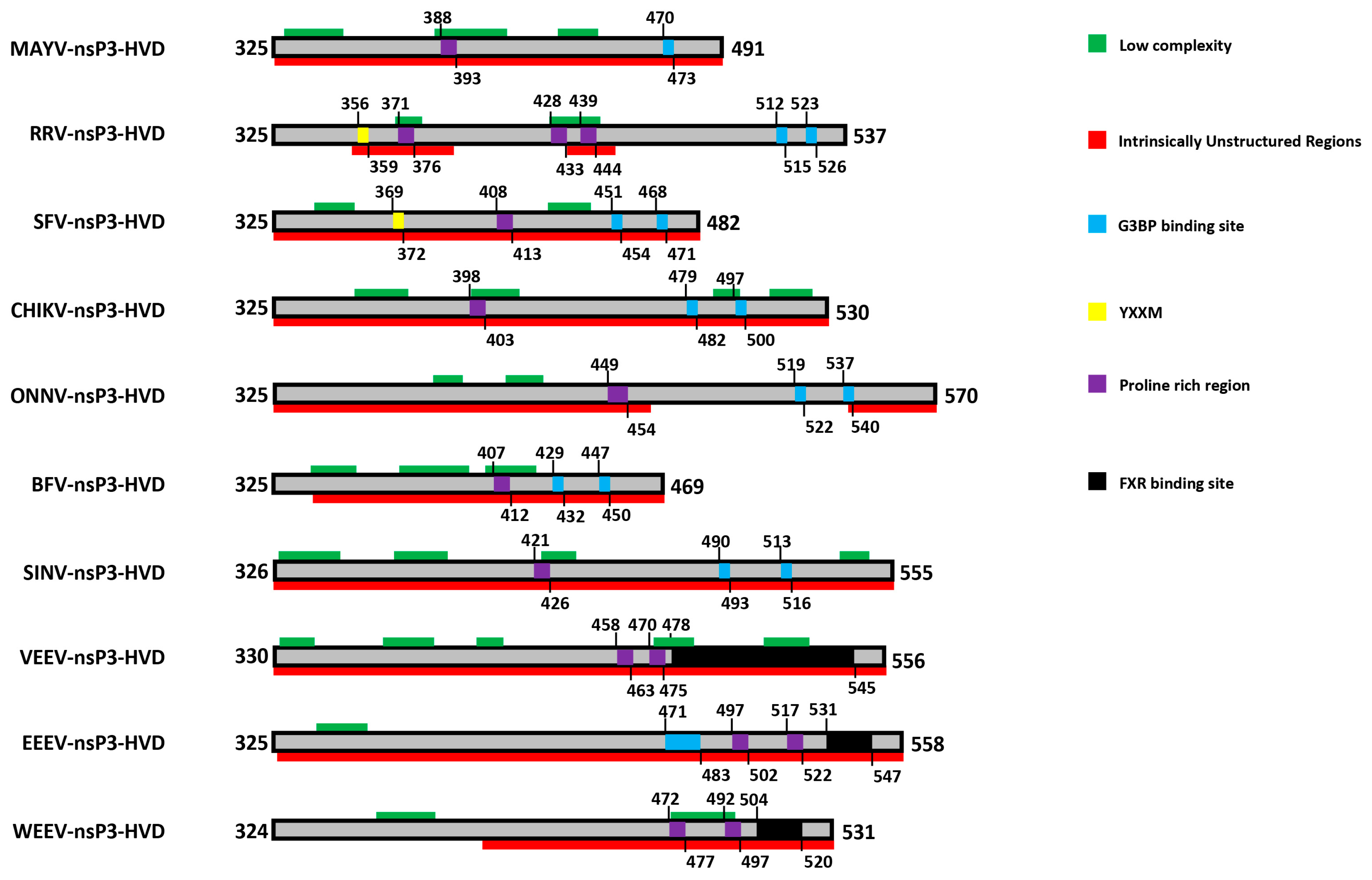 Viruses 10 00105 g002