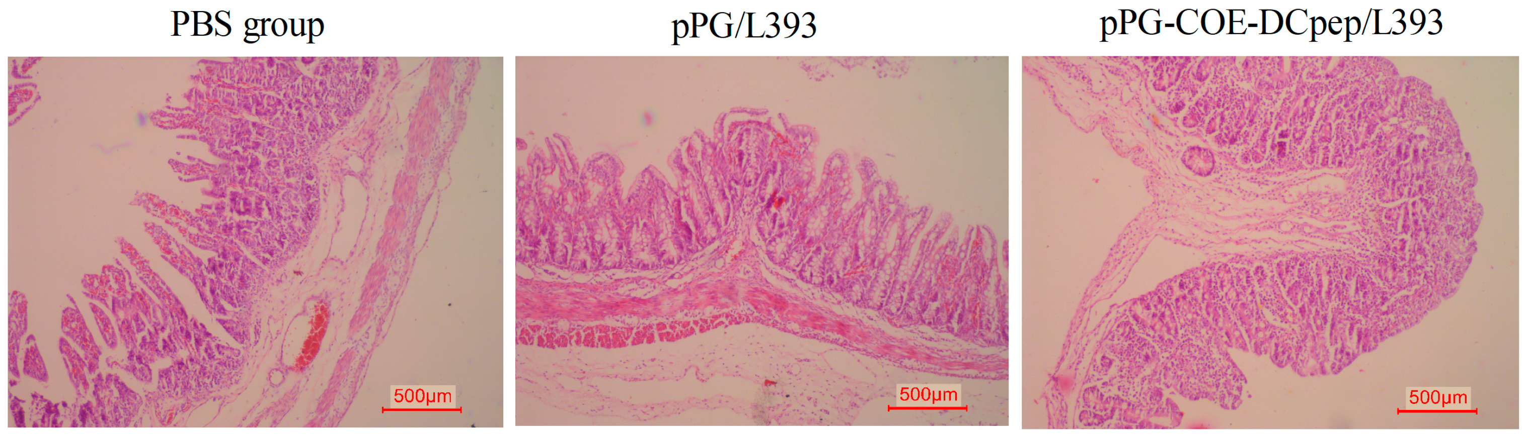 Viruses 10 00106 g004