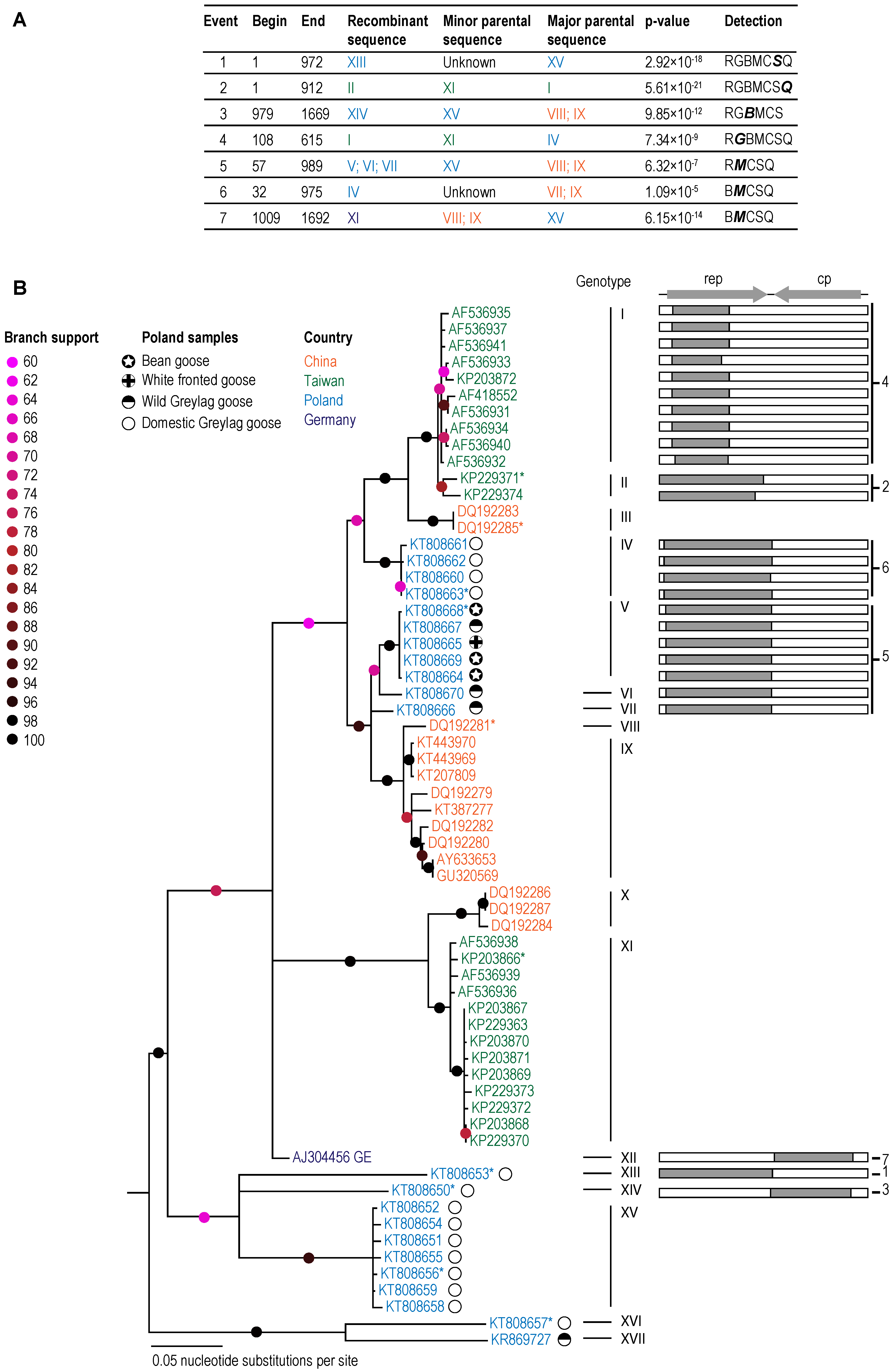 Viruses 10 00107 g002