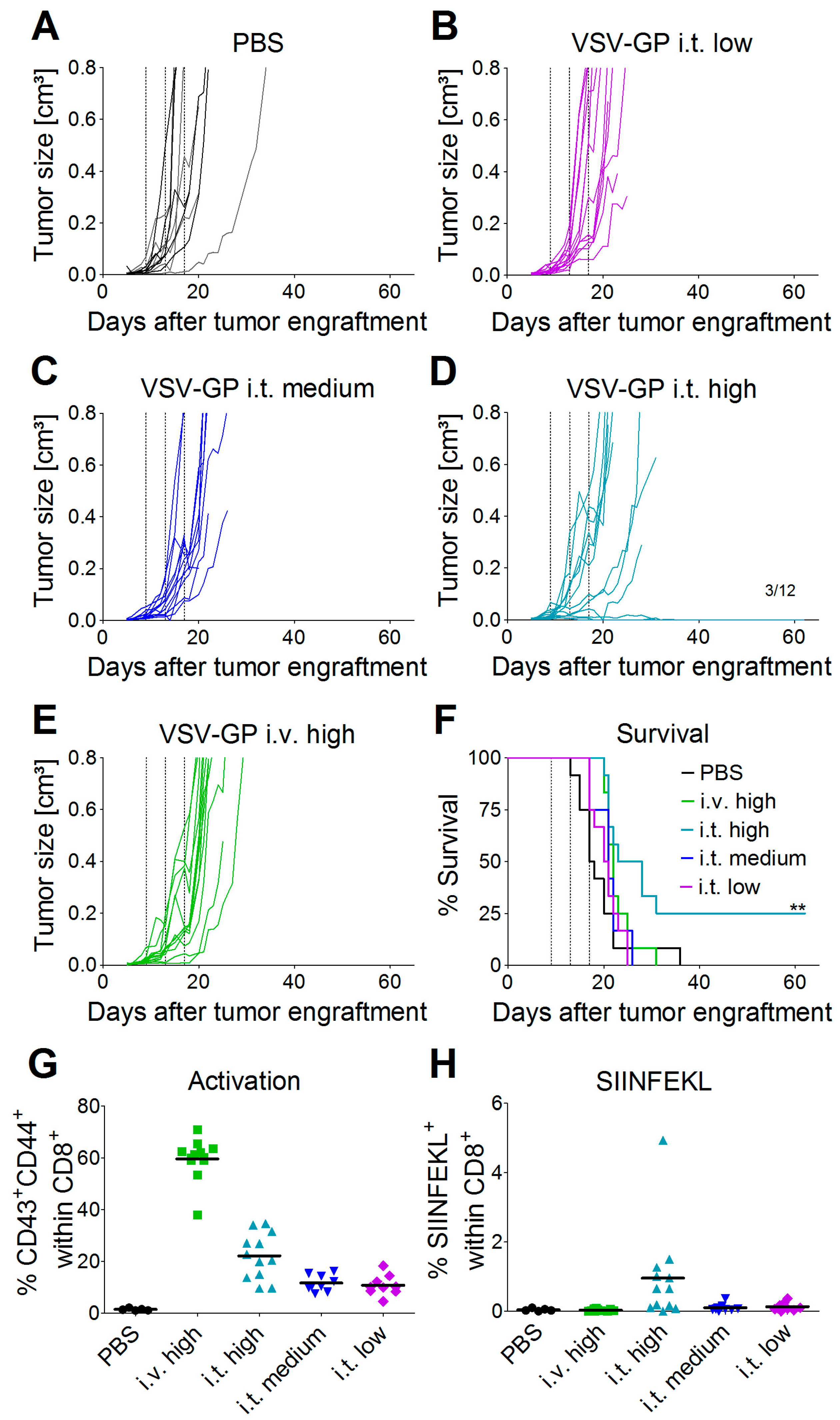 Viruses 10 00108 g003