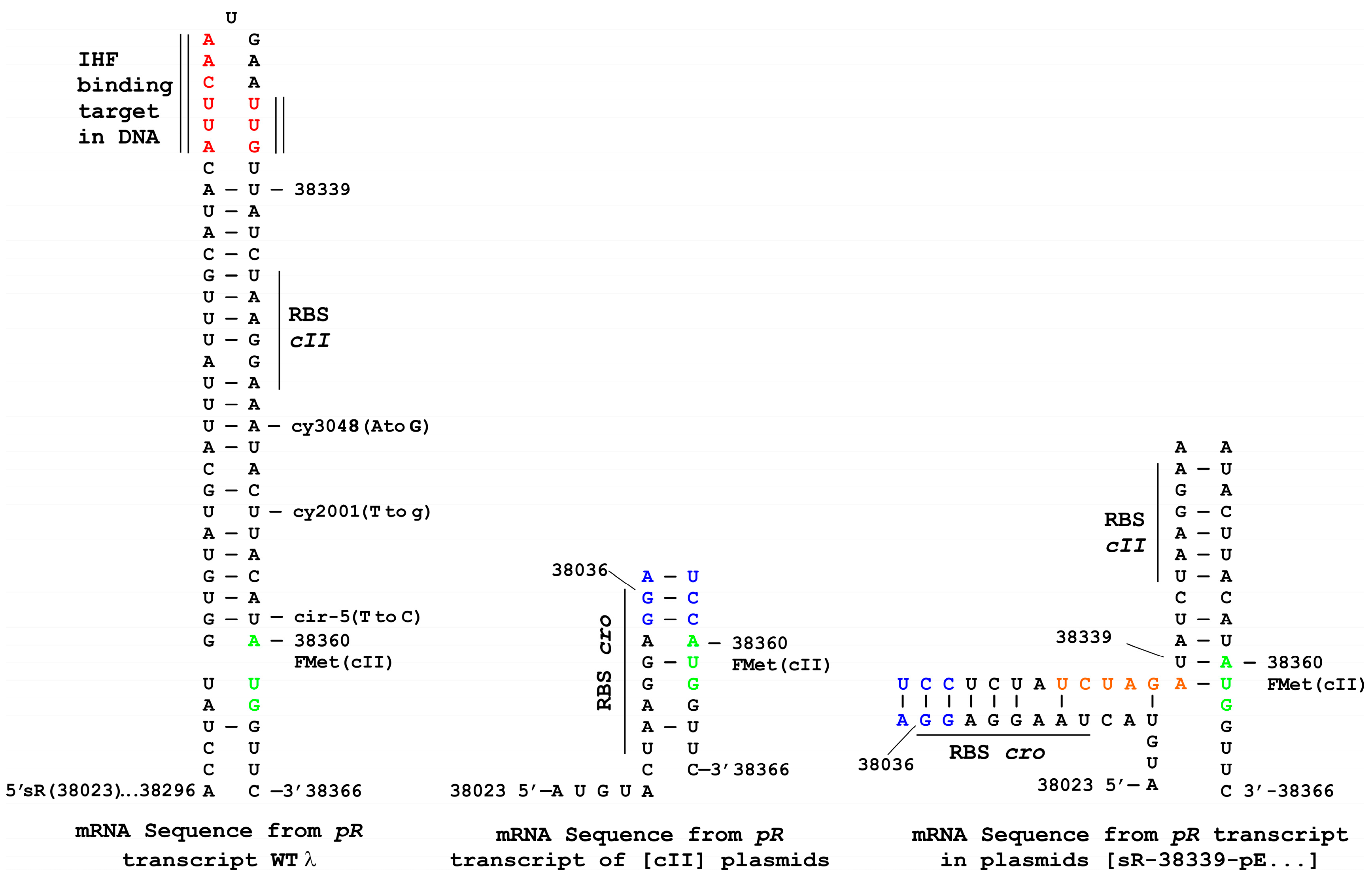 Viruses 10 00115 g002 Viruses 10 00115 g002
