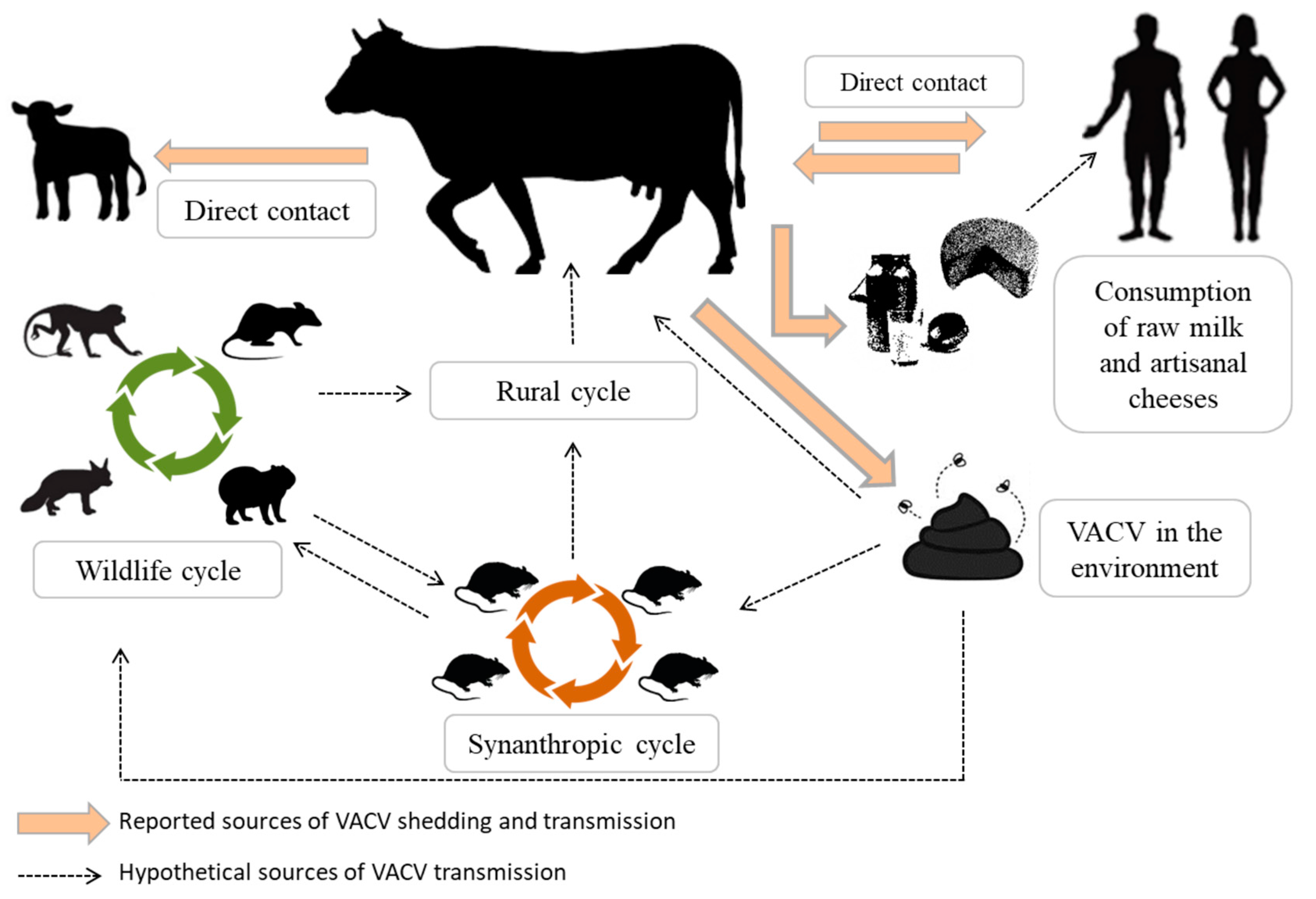 Viruses 10 00120 g002 Viruses 10 00120 g002