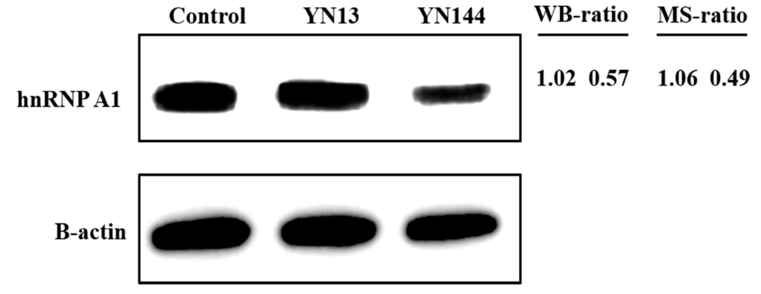 Viruses 10 00127 g001 Viruses 10 00127 g001