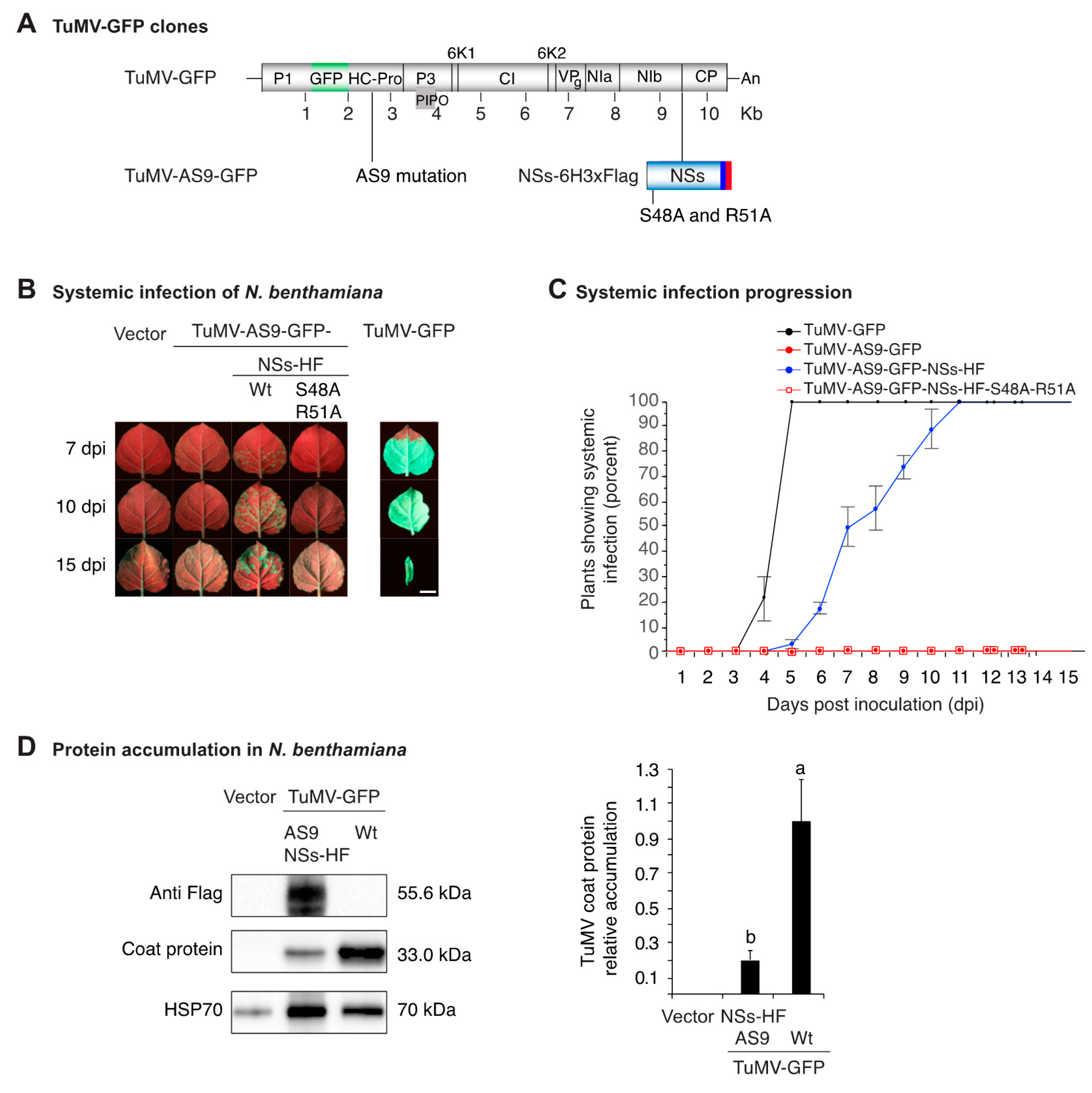 Viruses 10 00129 g002