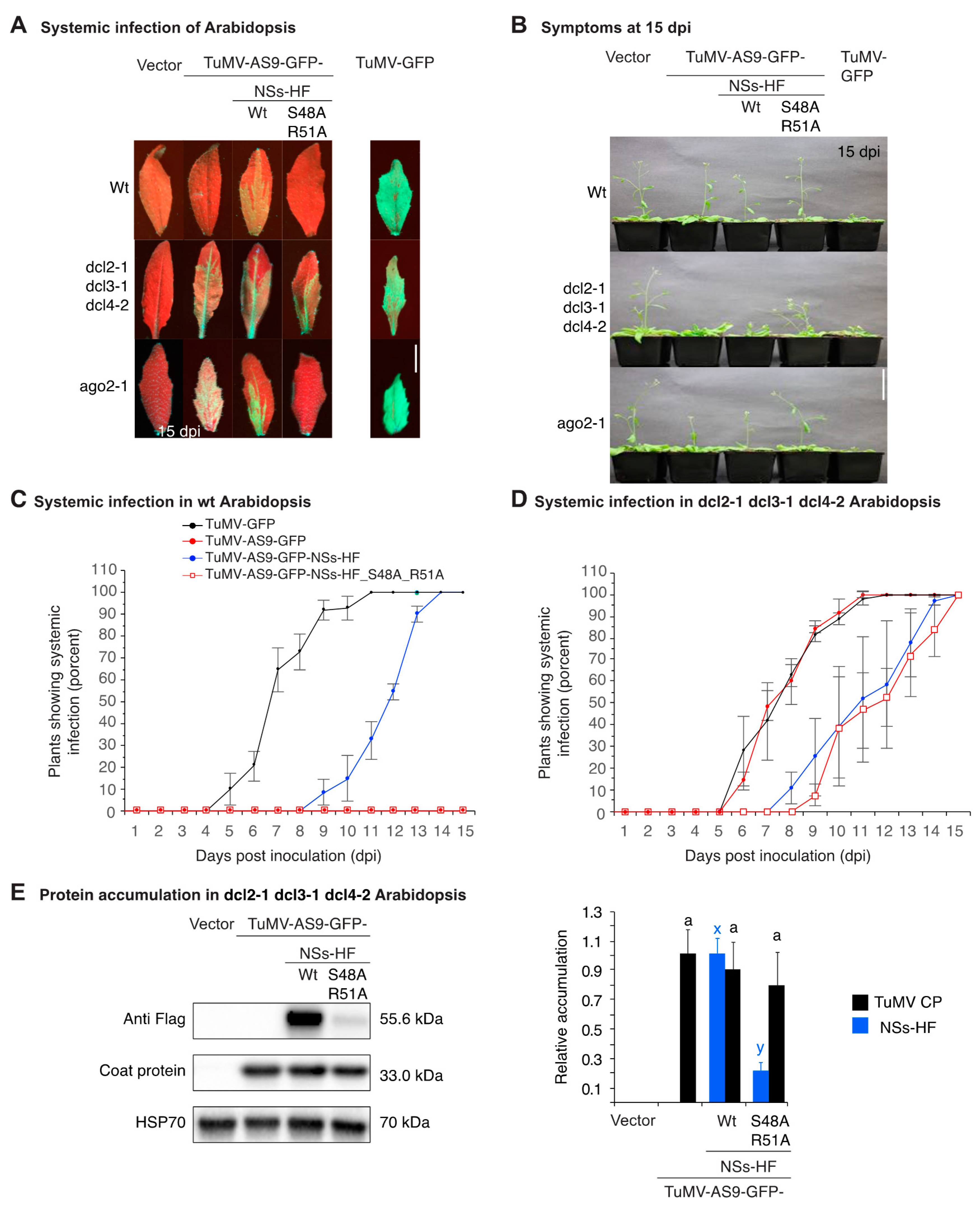 Viruses 10 00129 g003