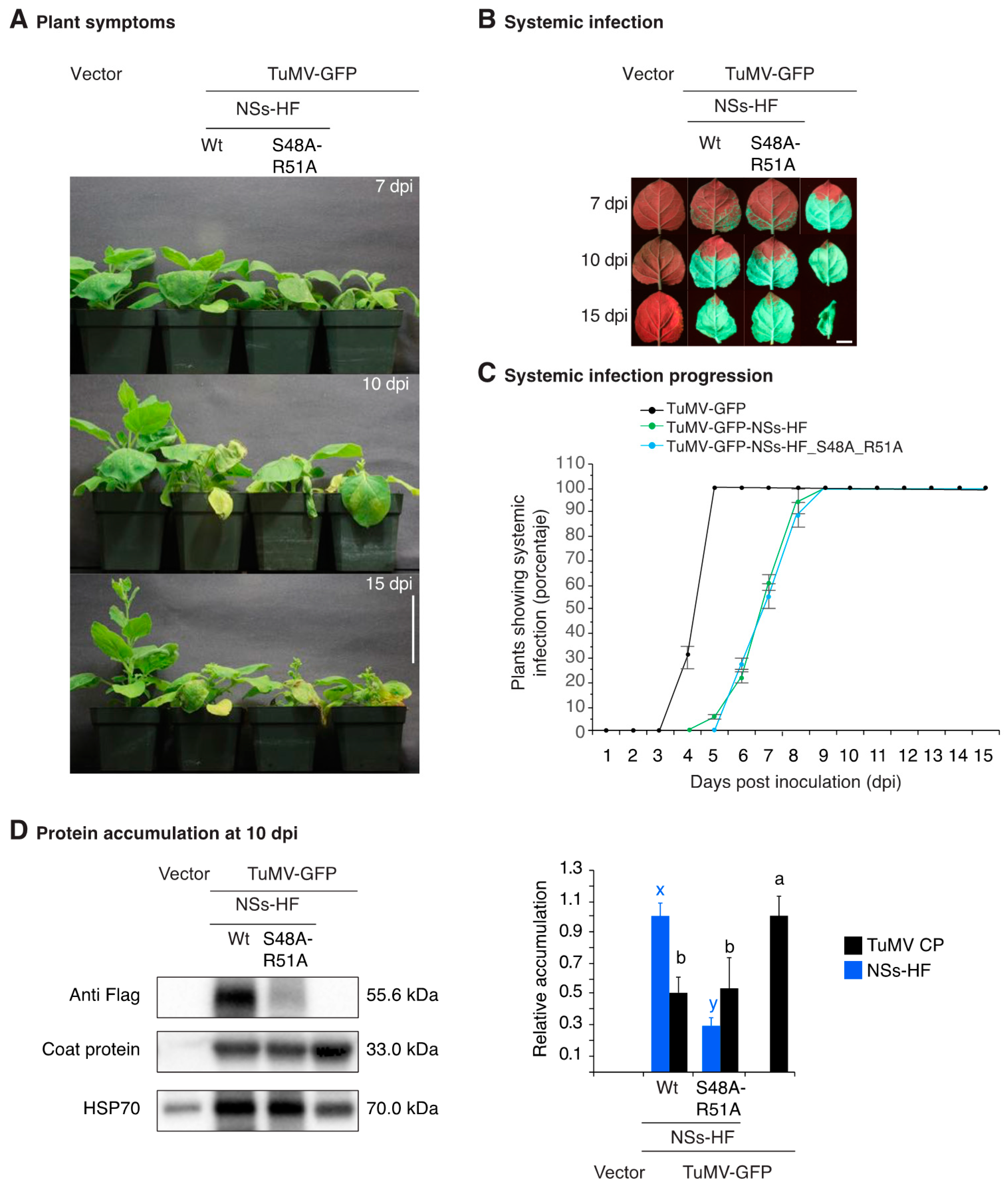 Viruses 10 00129 g005