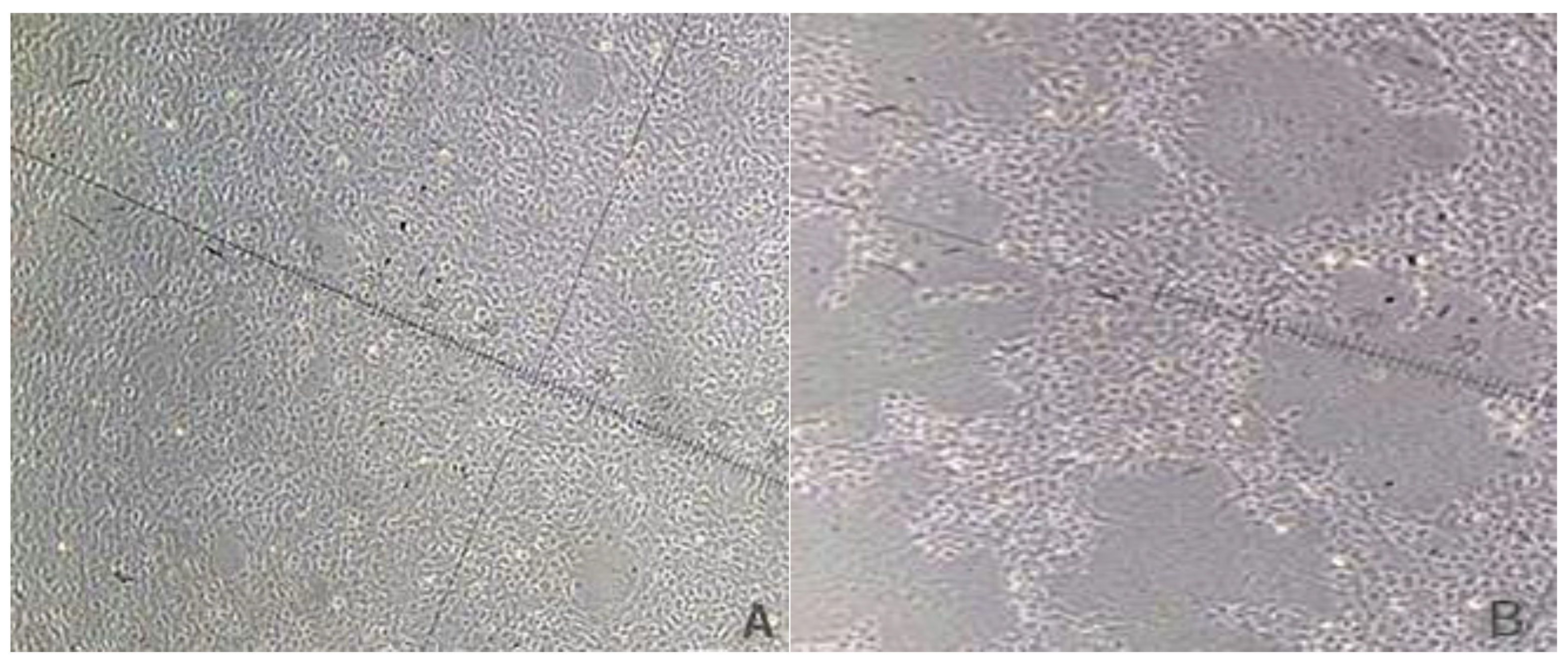 Viruses 10 00135 g001 Viruses 10 00135 g001