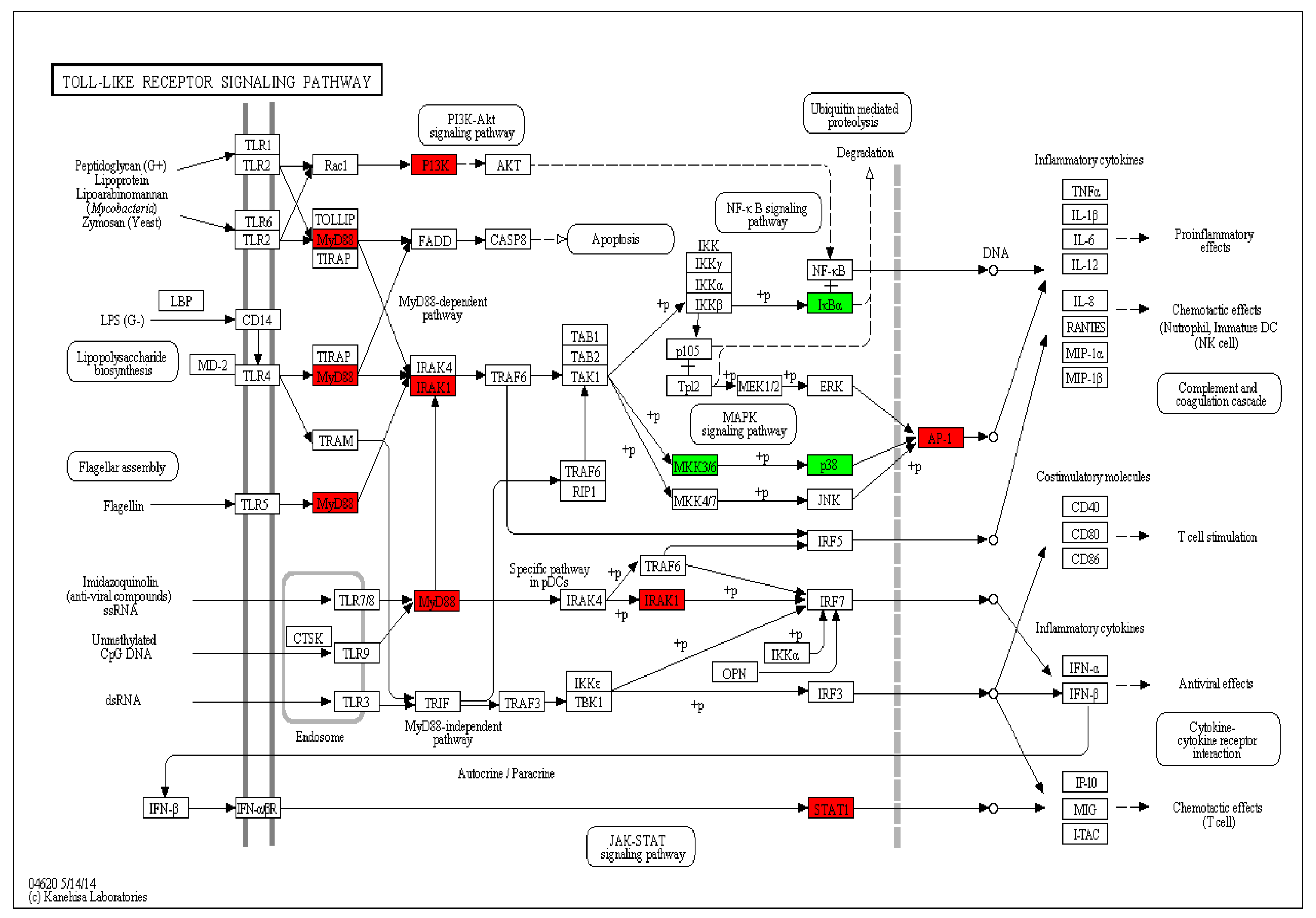 Viruses 10 00135 g009 Viruses 10 00135 g009