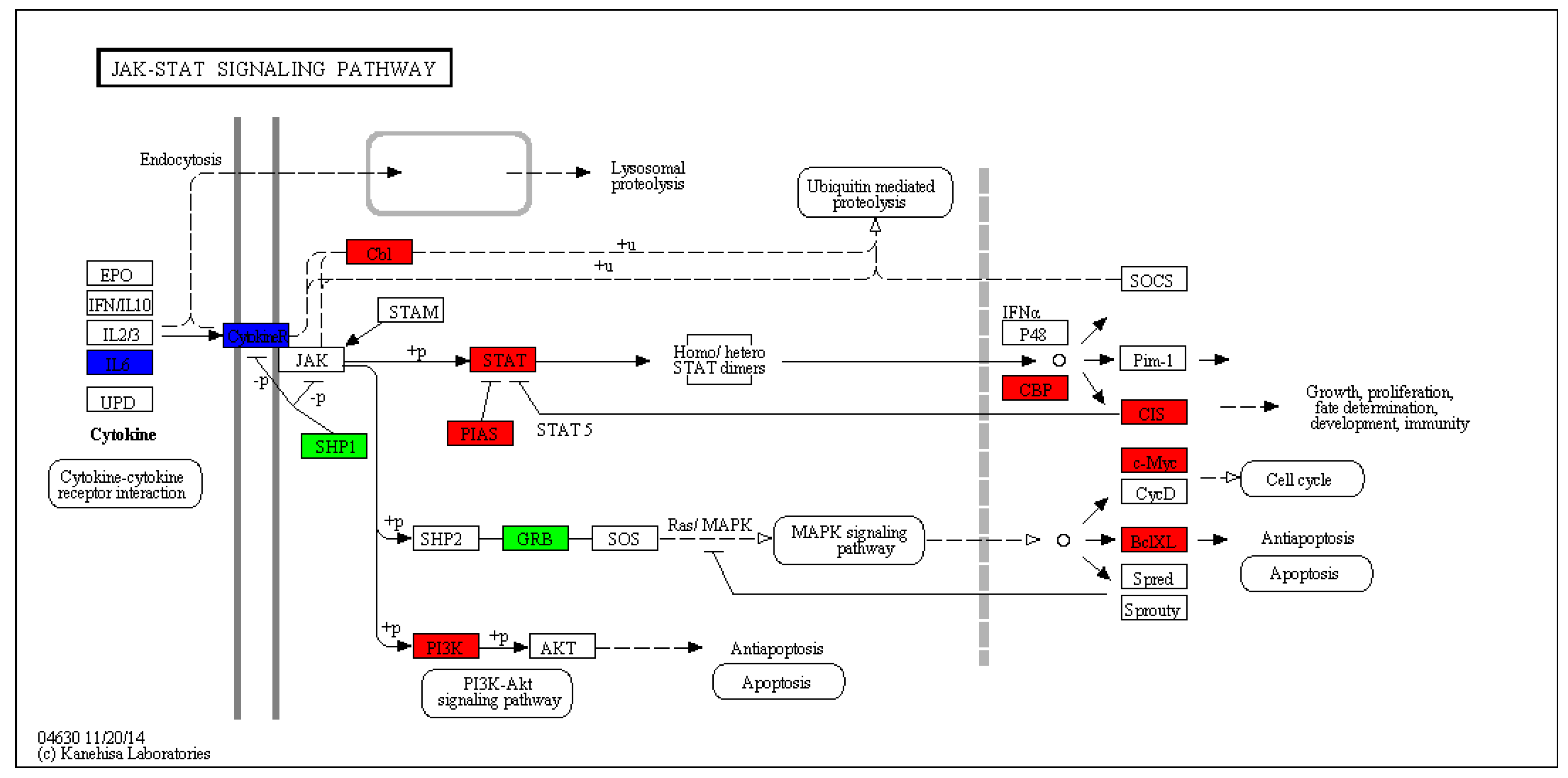 Viruses 10 00135 g011 Viruses 10 00135 g011