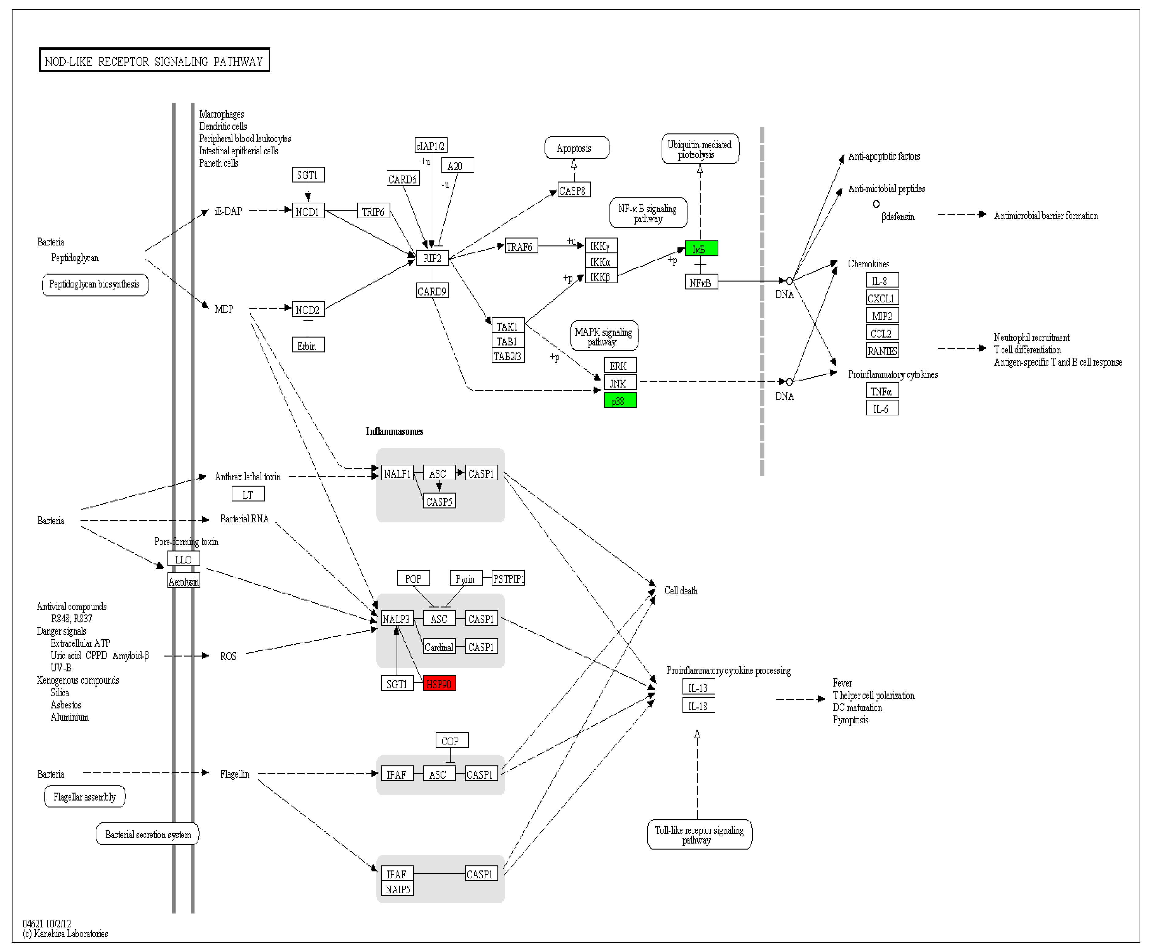 Viruses 10 00135 g012 Viruses 10 00135 g012