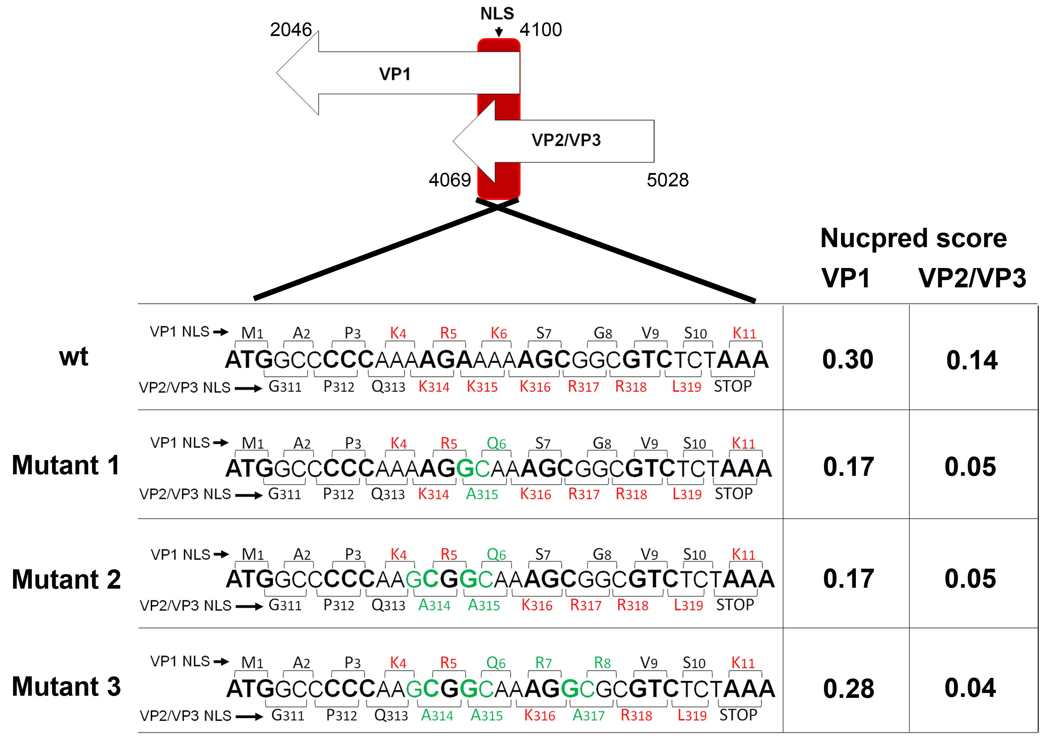 Viruses 10 00165 g003