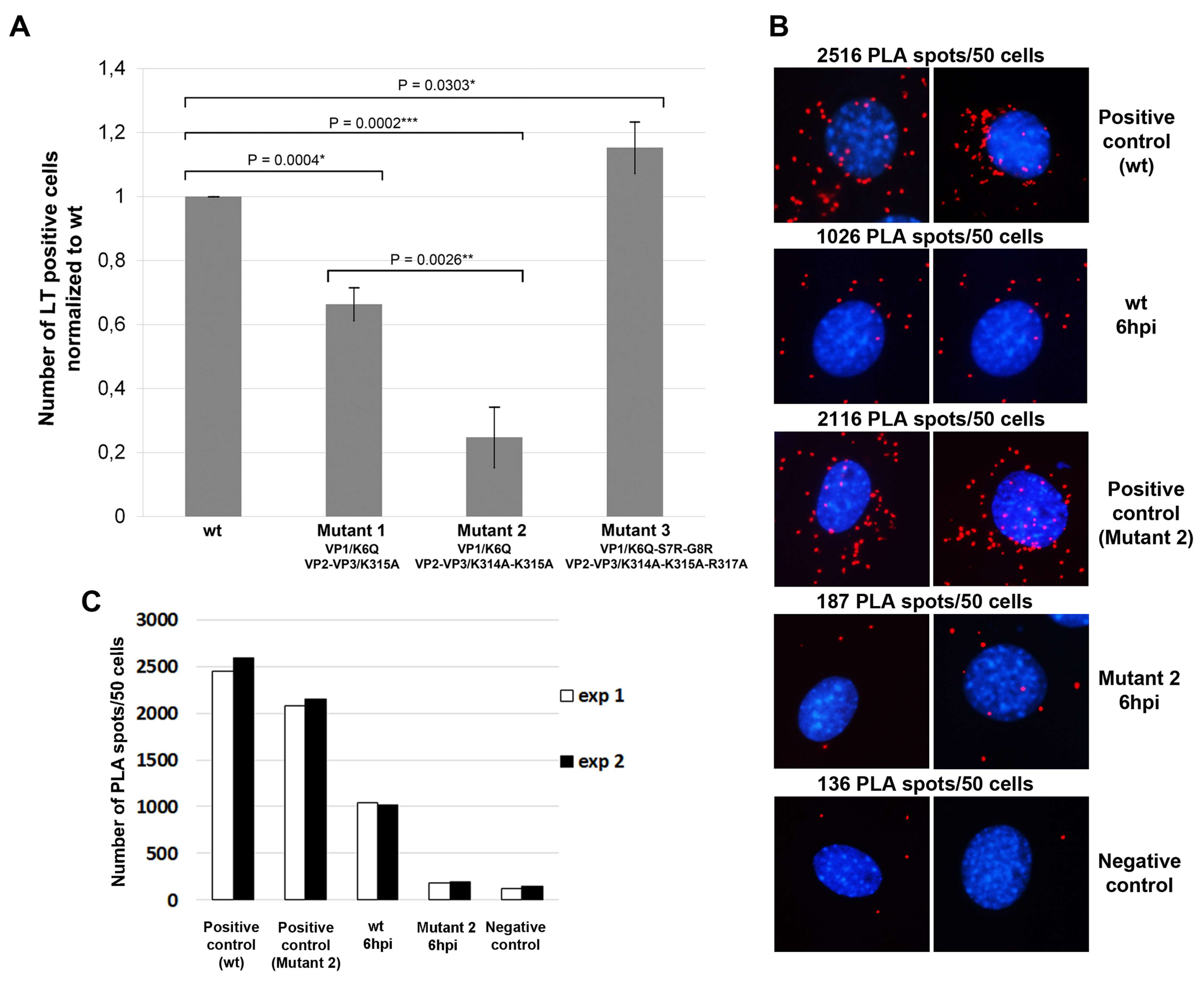 Viruses 10 00165 g005