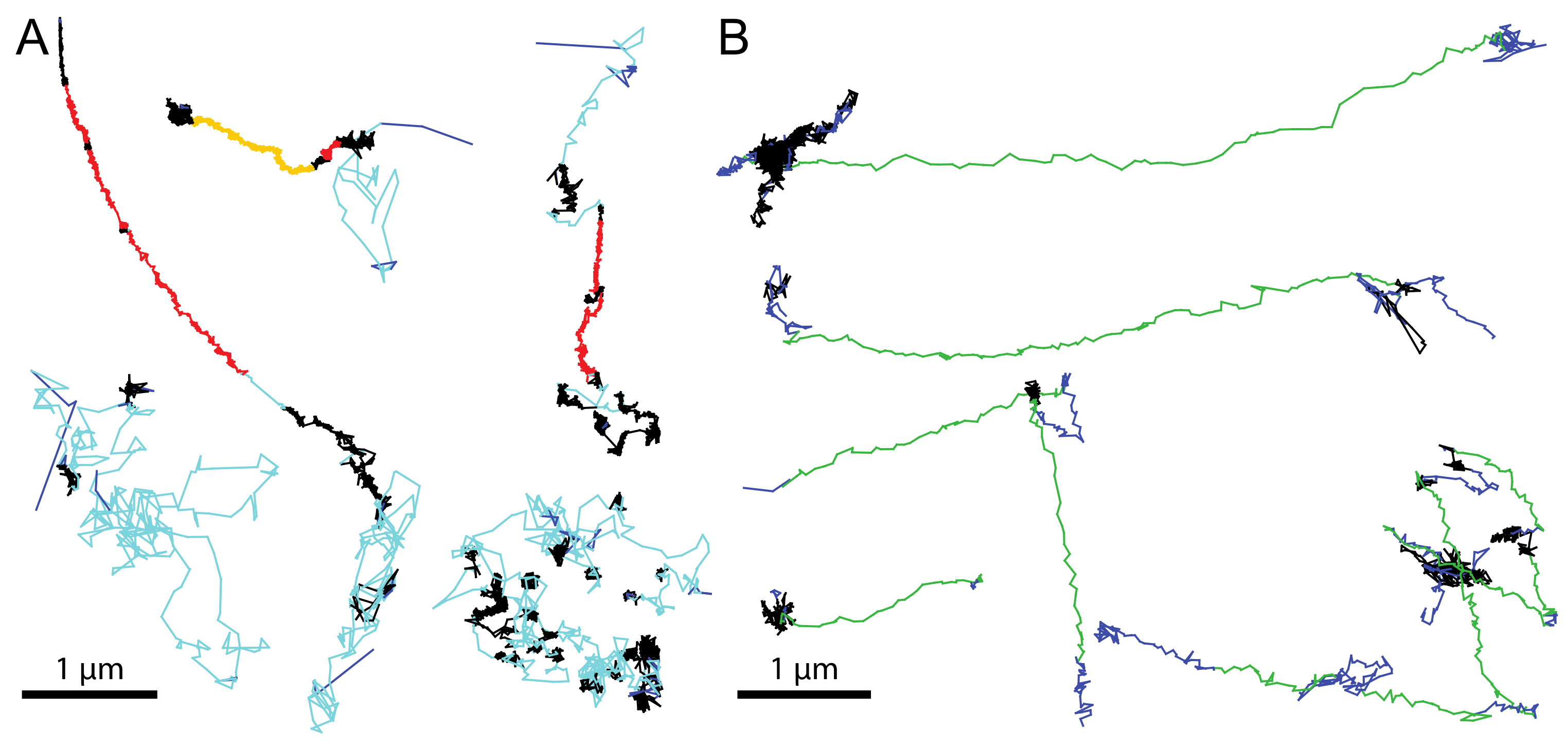 Viruses 10 00166 g003