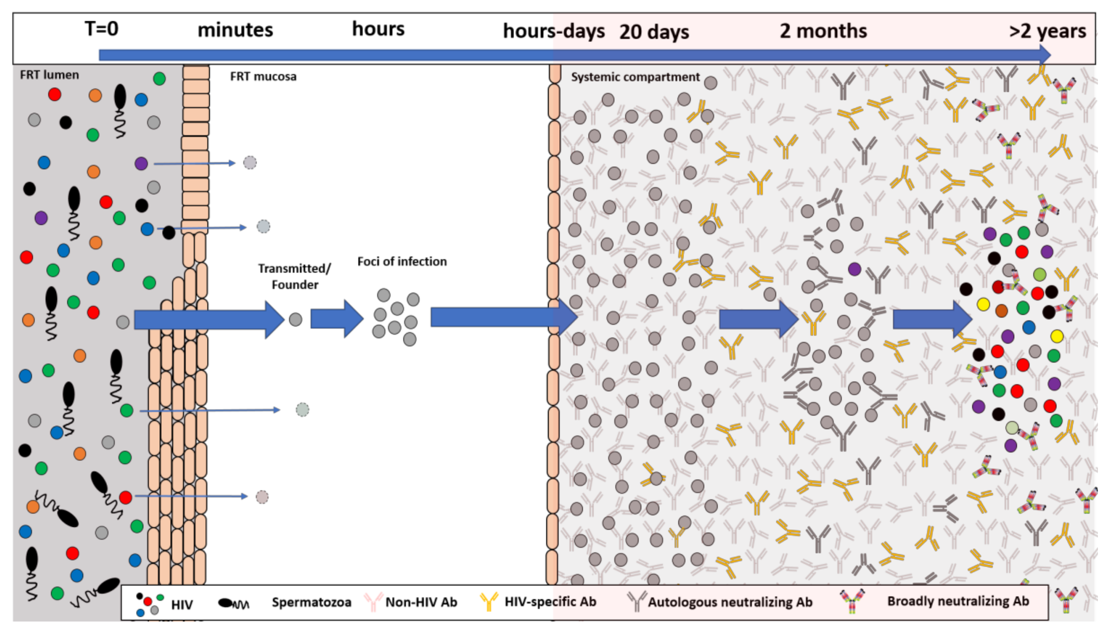 Viruses 10 00167 g001