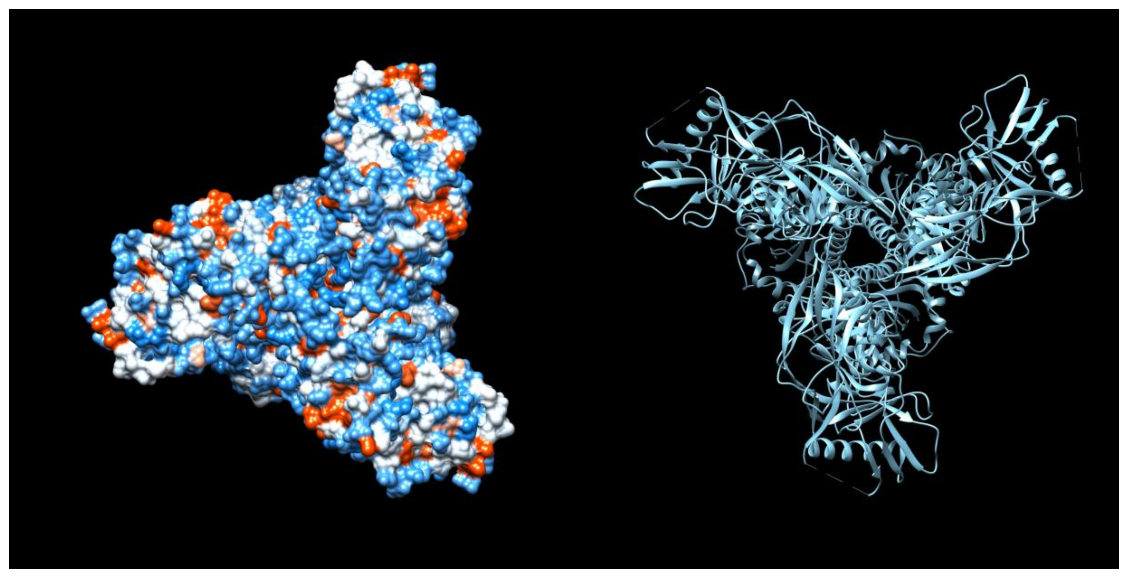 Viruses 10 00167 g002