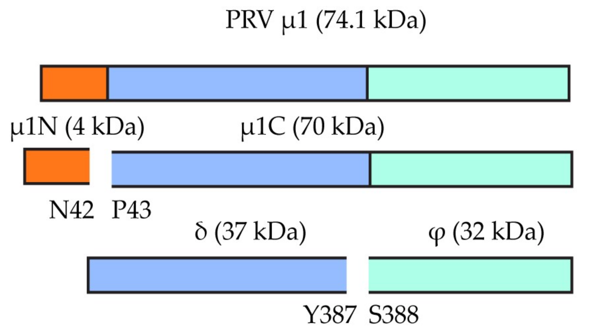 Viruses 10 00170 g004 Viruses 10 00170 g004