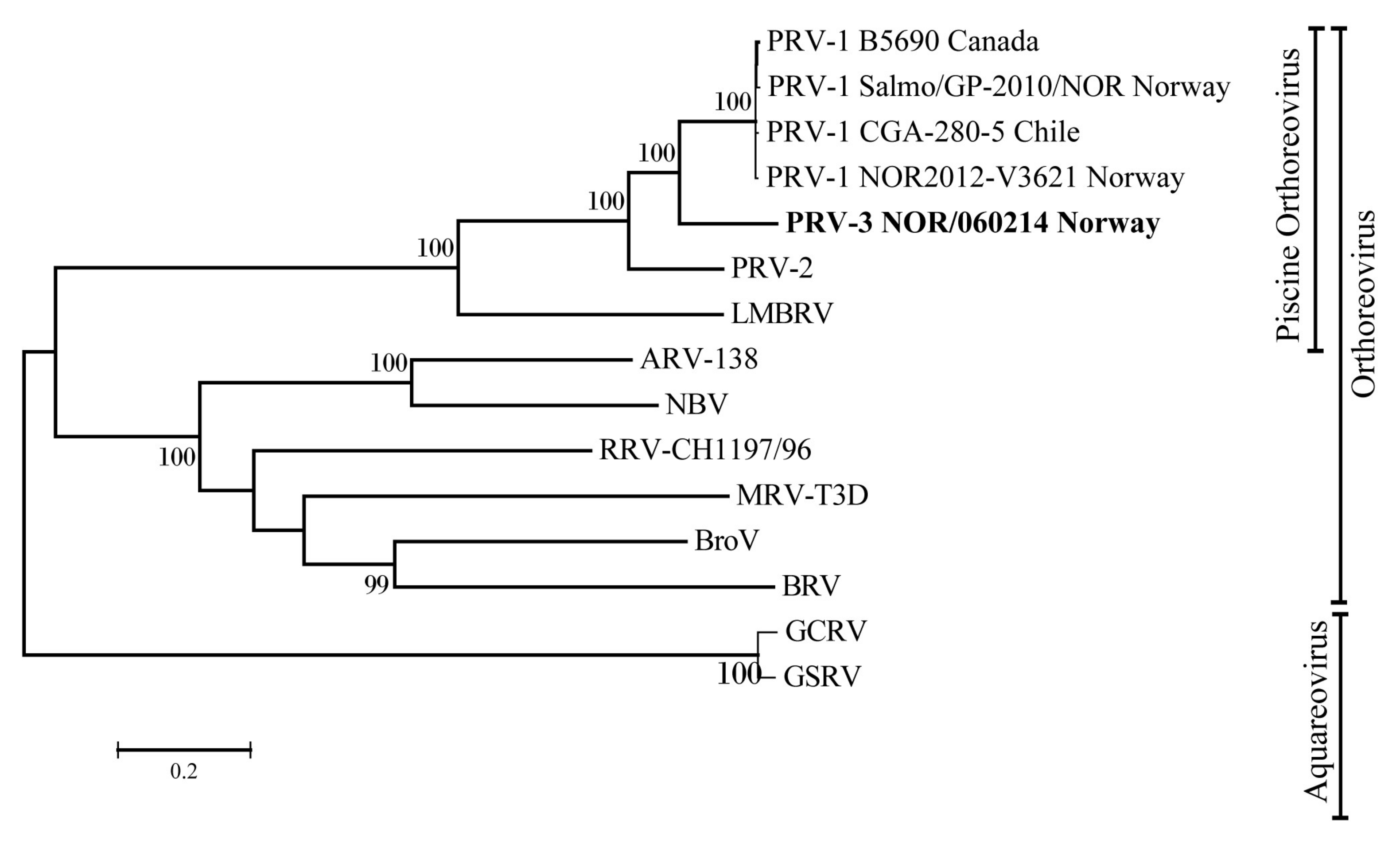 Viruses 10 00170 g005 Viruses 10 00170 g005