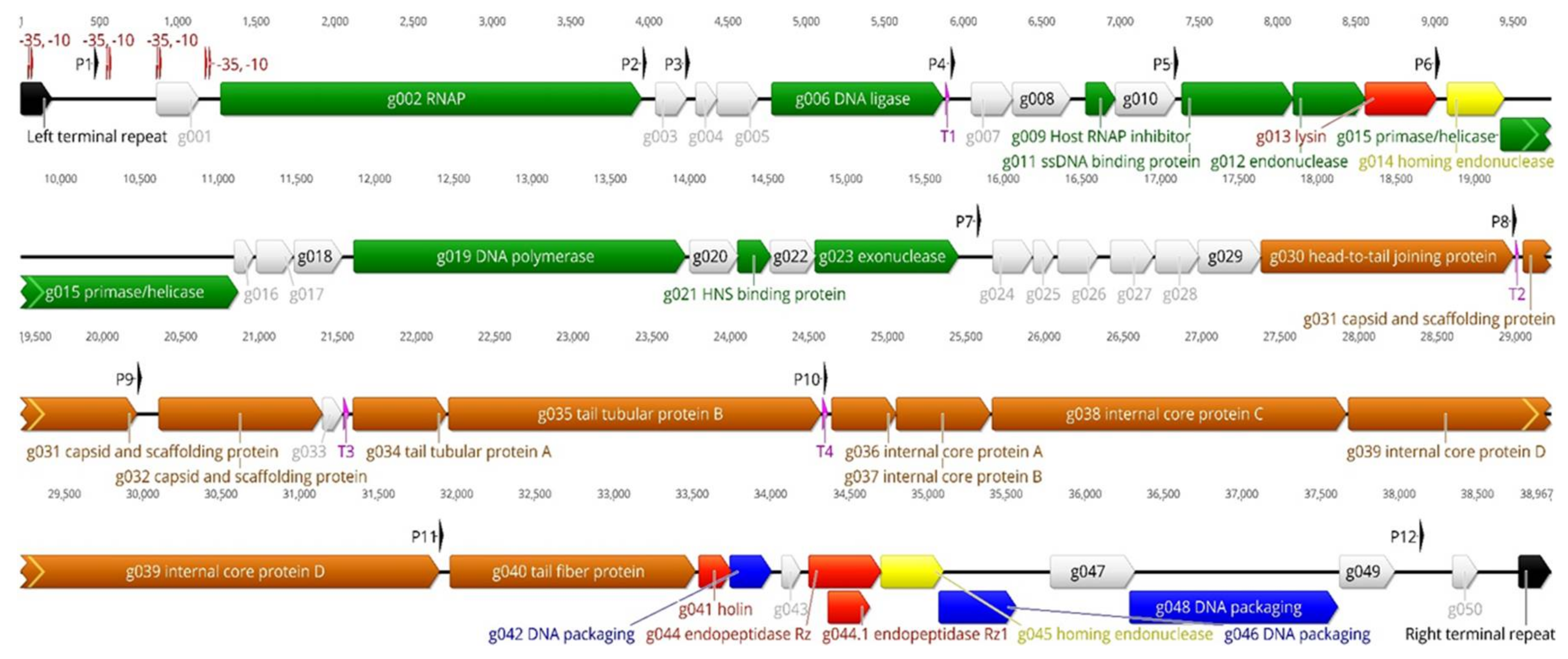 Viruses 10 00174 g005