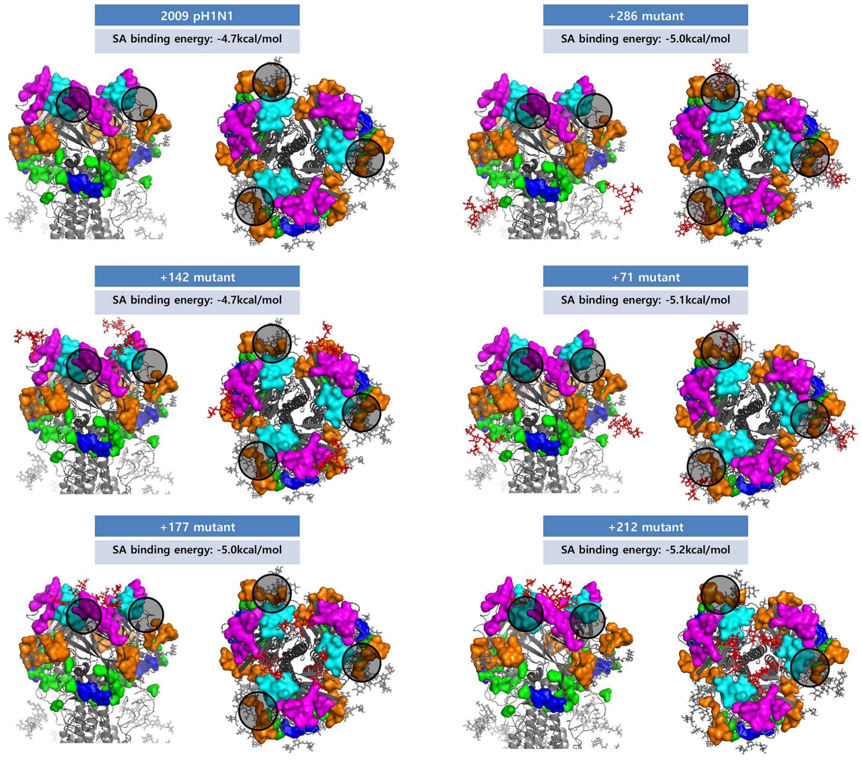 Viruses 10 00183 g008 Viruses 10 00183 g008