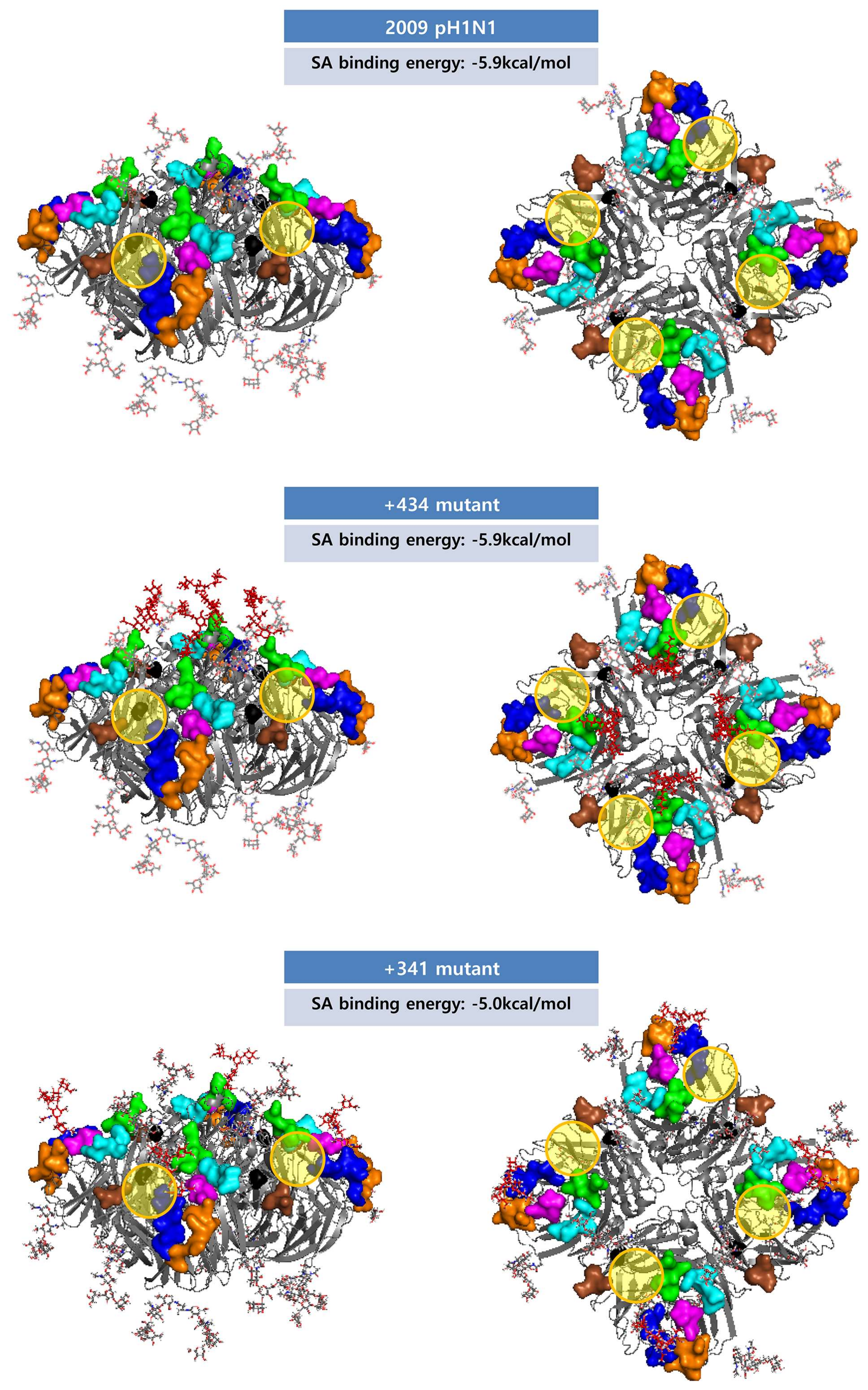 Viruses 10 00183 g009 Viruses 10 00183 g009
